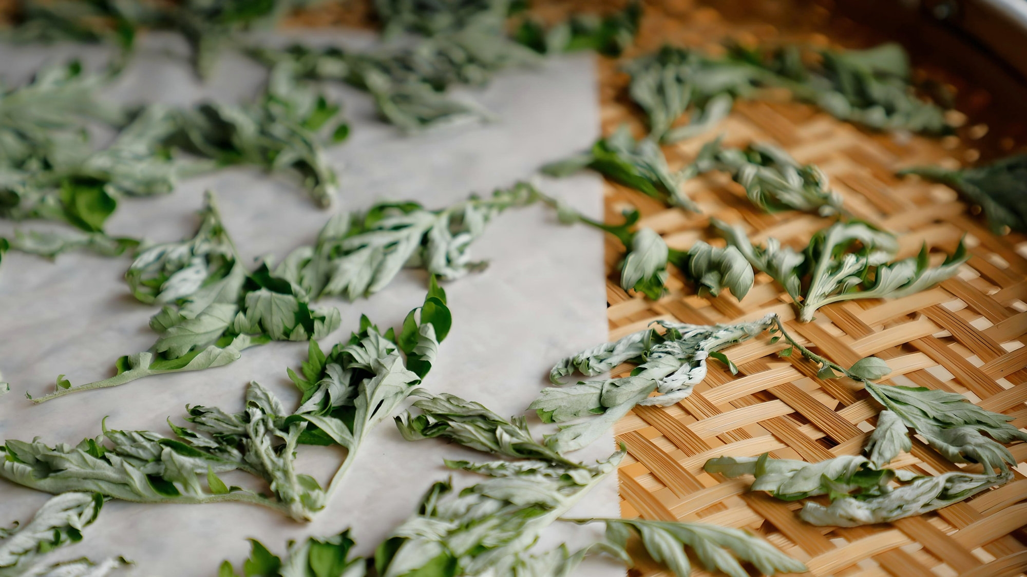 【野草茶体験】100平米を一棟貸し。土間キッチンで作る石見ポークメニュー（2食付き／夕食自炊）