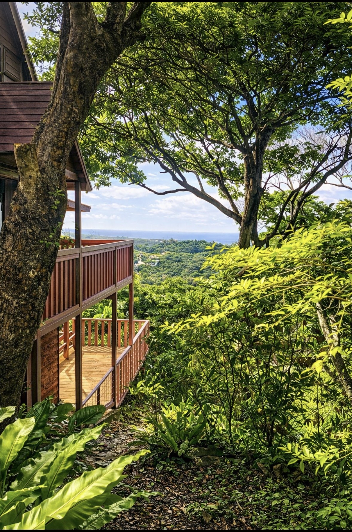 森に囲まれた静かなテラスで、自然の音を感じながらゆったりとした時間を過ごせます。朝のコーヒーや夕方のリラックスタイムに最適な空間です。