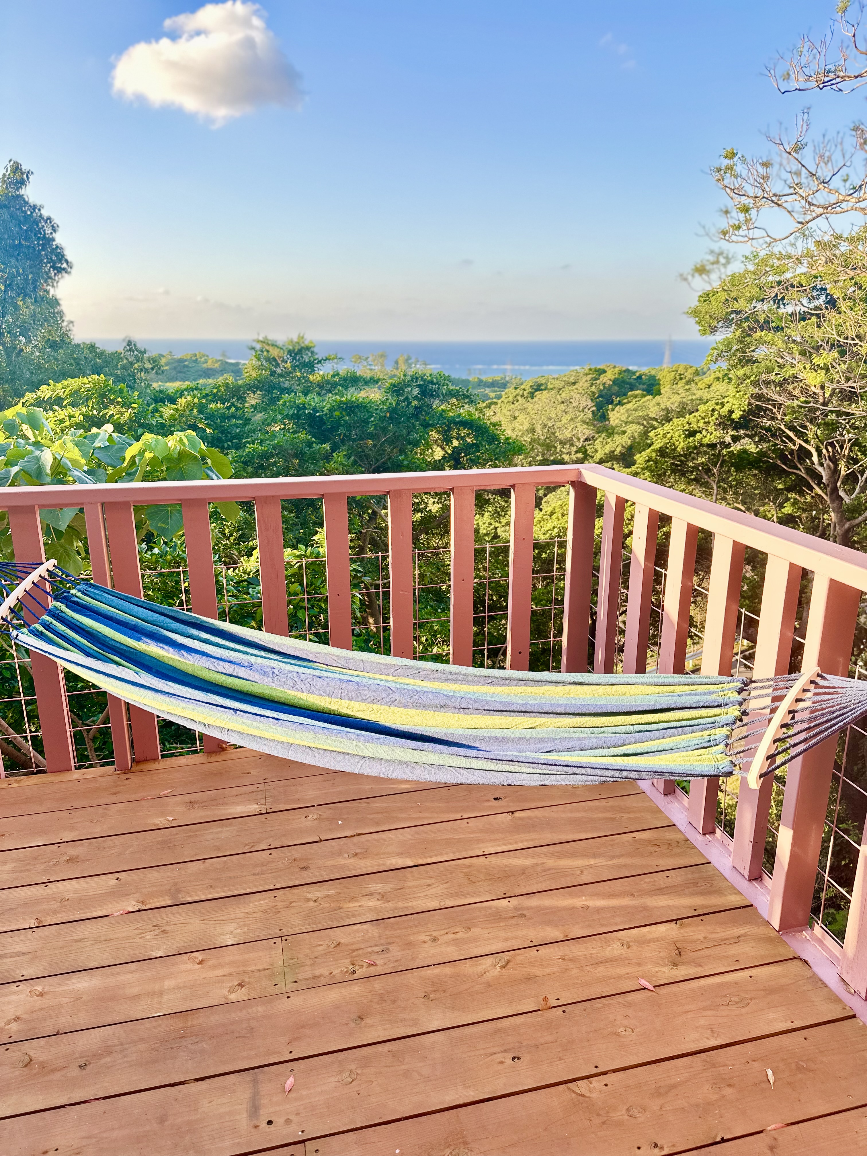 テラステラスし2c