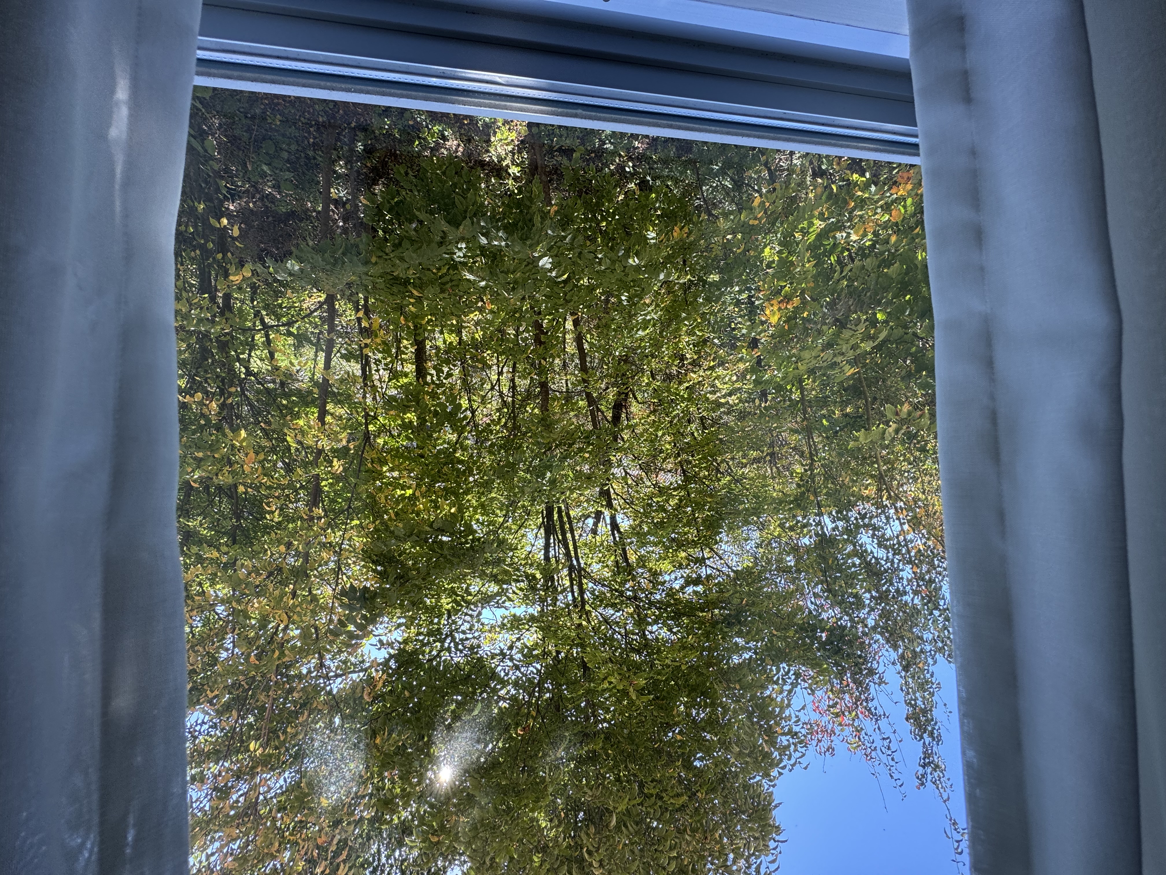 宿泊棟　部屋から見える緑