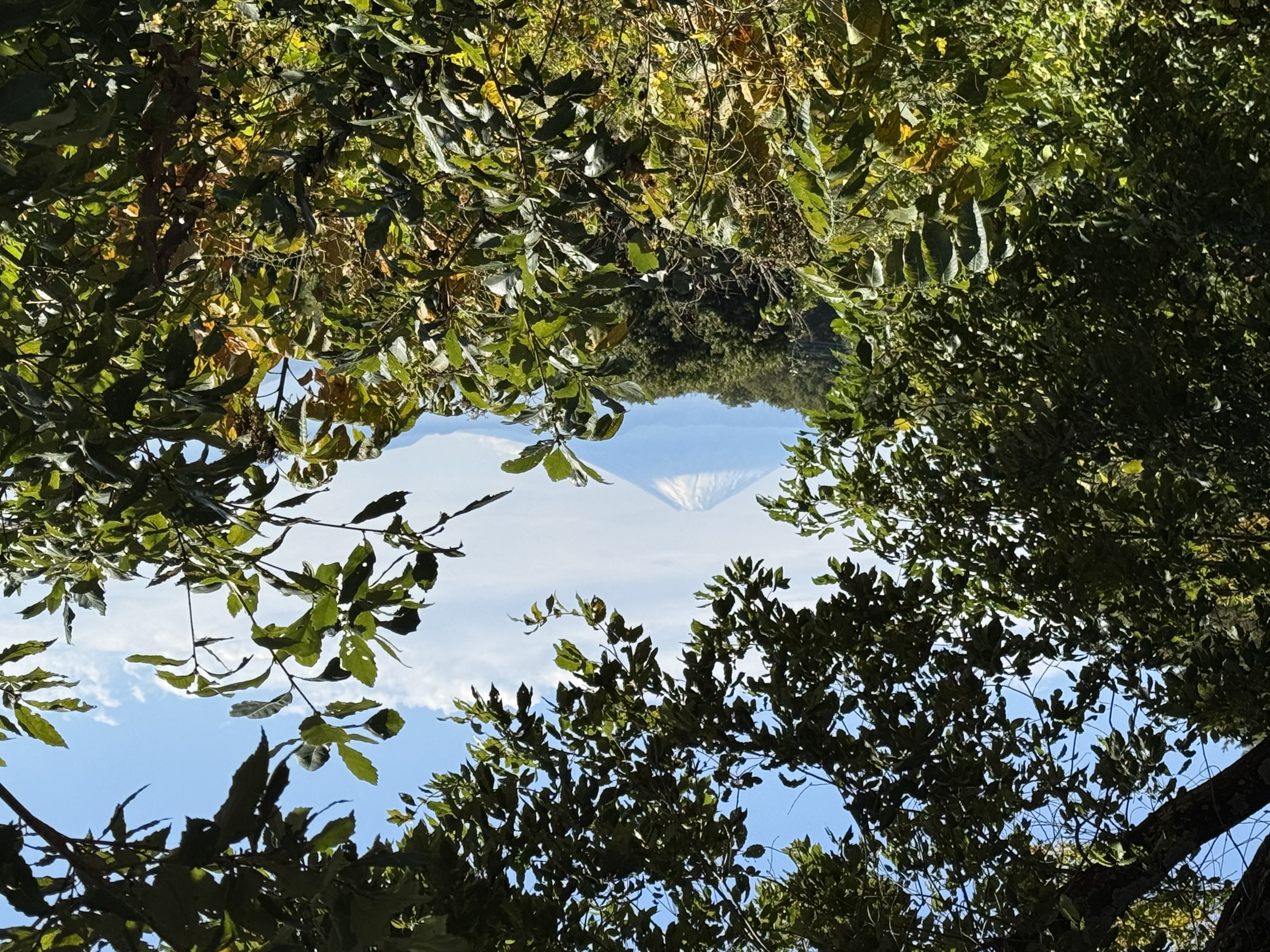 本館玄関前から見る富士山