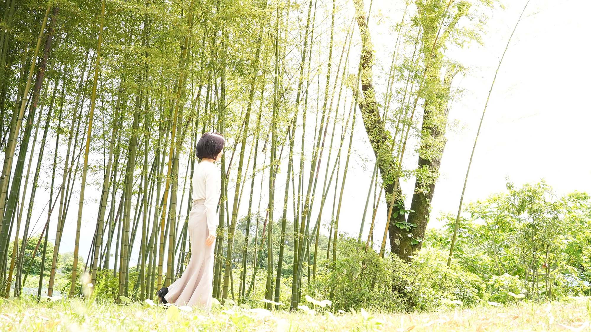 ・【庭園】都会の喧騒から離れて日常を忘れ、心身ともに癒される心地よいひと時をお過ごしいただけます