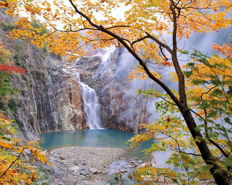 秋色に染まる紅葉旅　一泊二食付きプラン