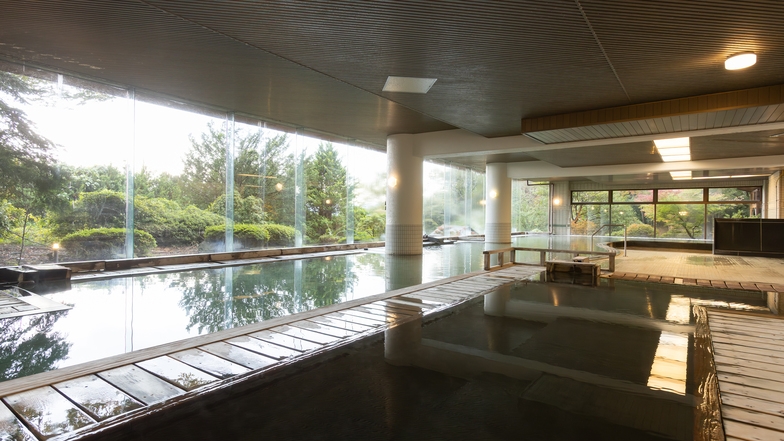 【シニア旅行応援】のんびり盛岡で温泉旅行 1泊2食バイキングプラン