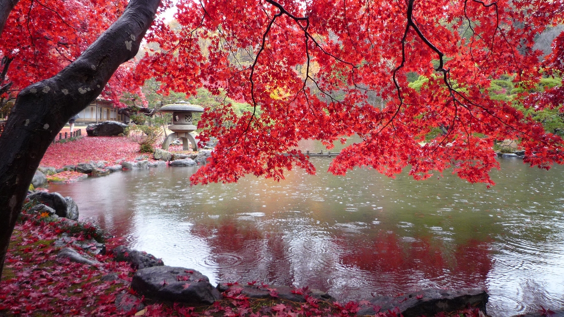 秋色に染まる紅葉旅　一泊二食付きプラン