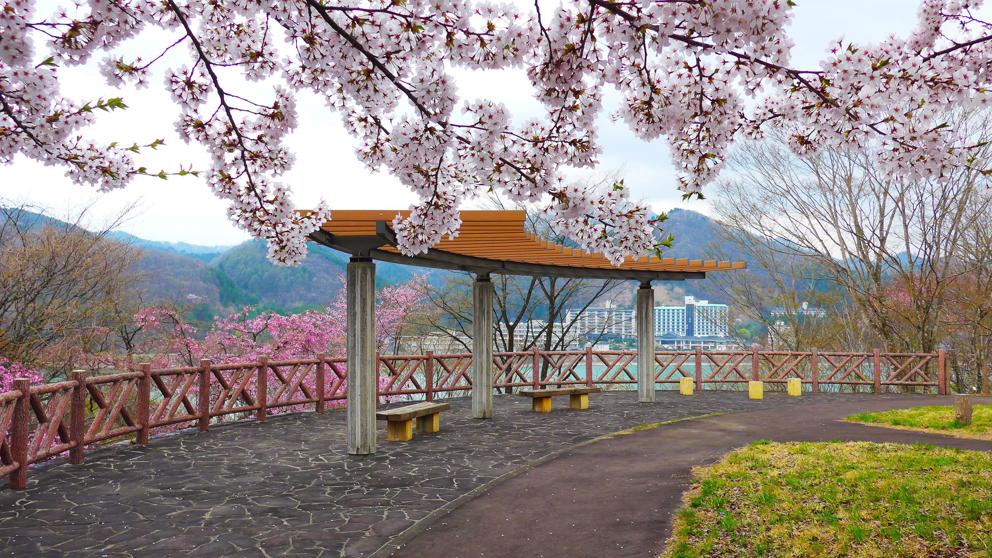 御所湖広域公園(春)