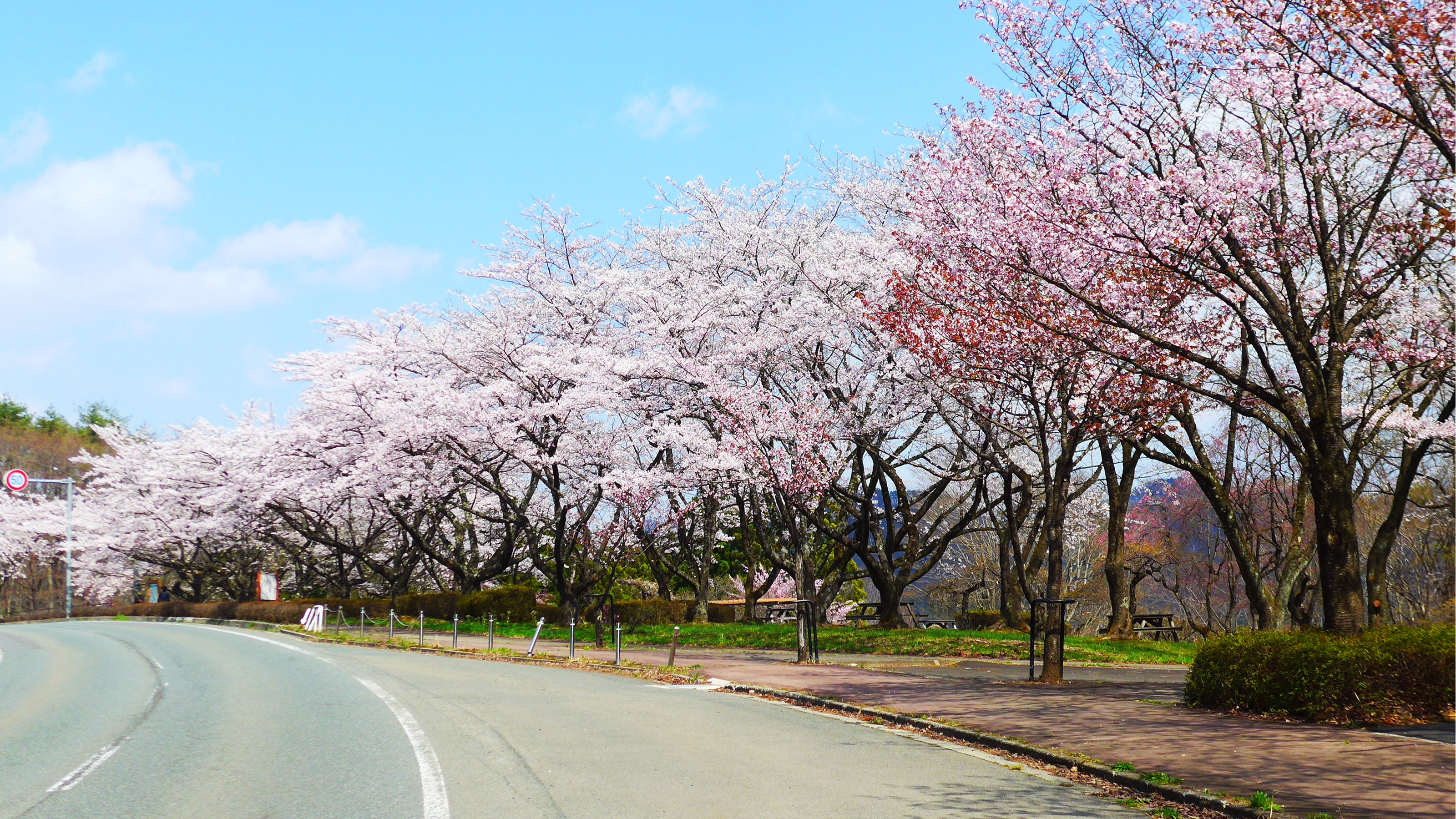 雫石川園地(春)