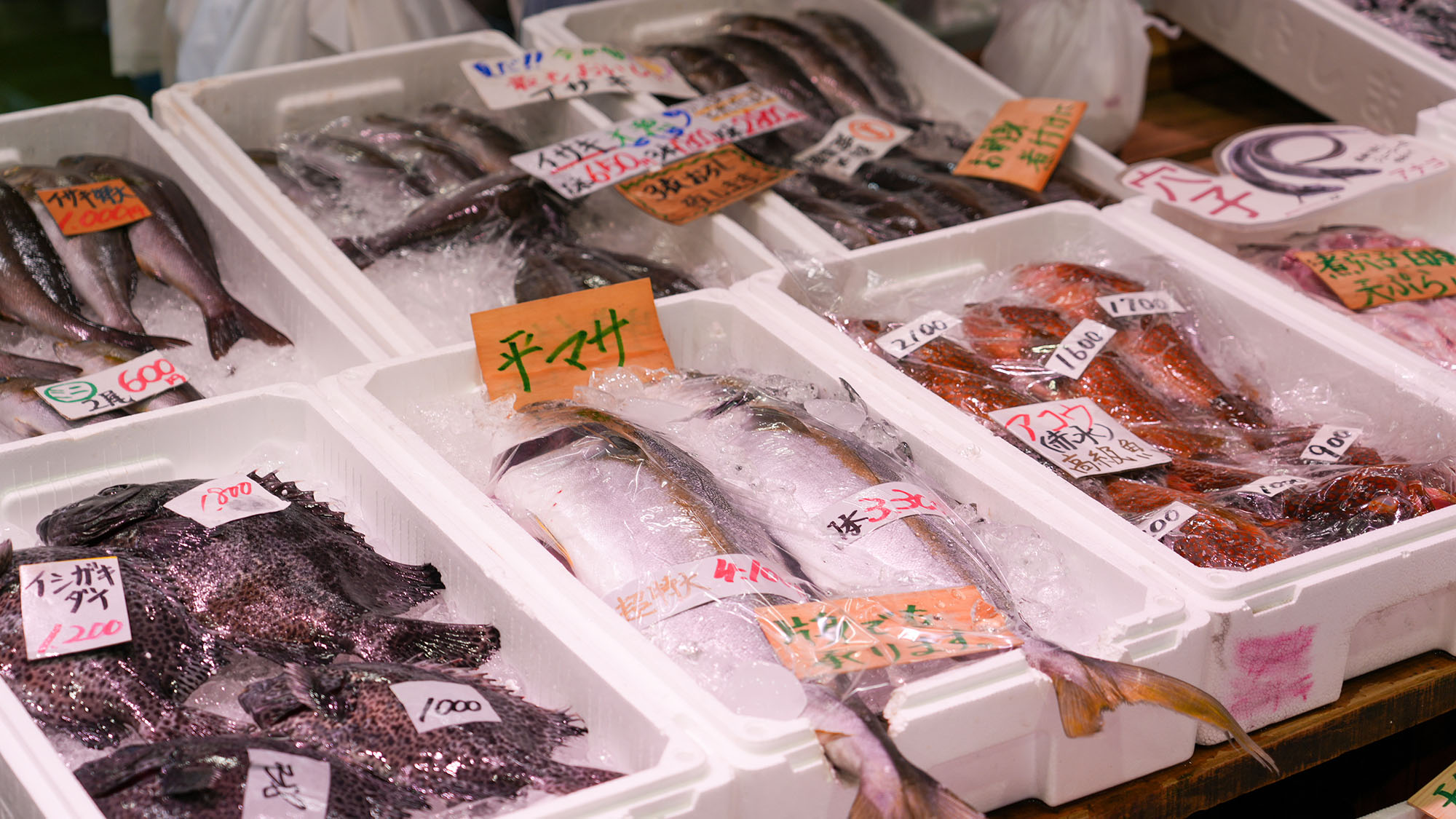 ・【周辺観光】「はまだお魚市場」当館から車で約4分