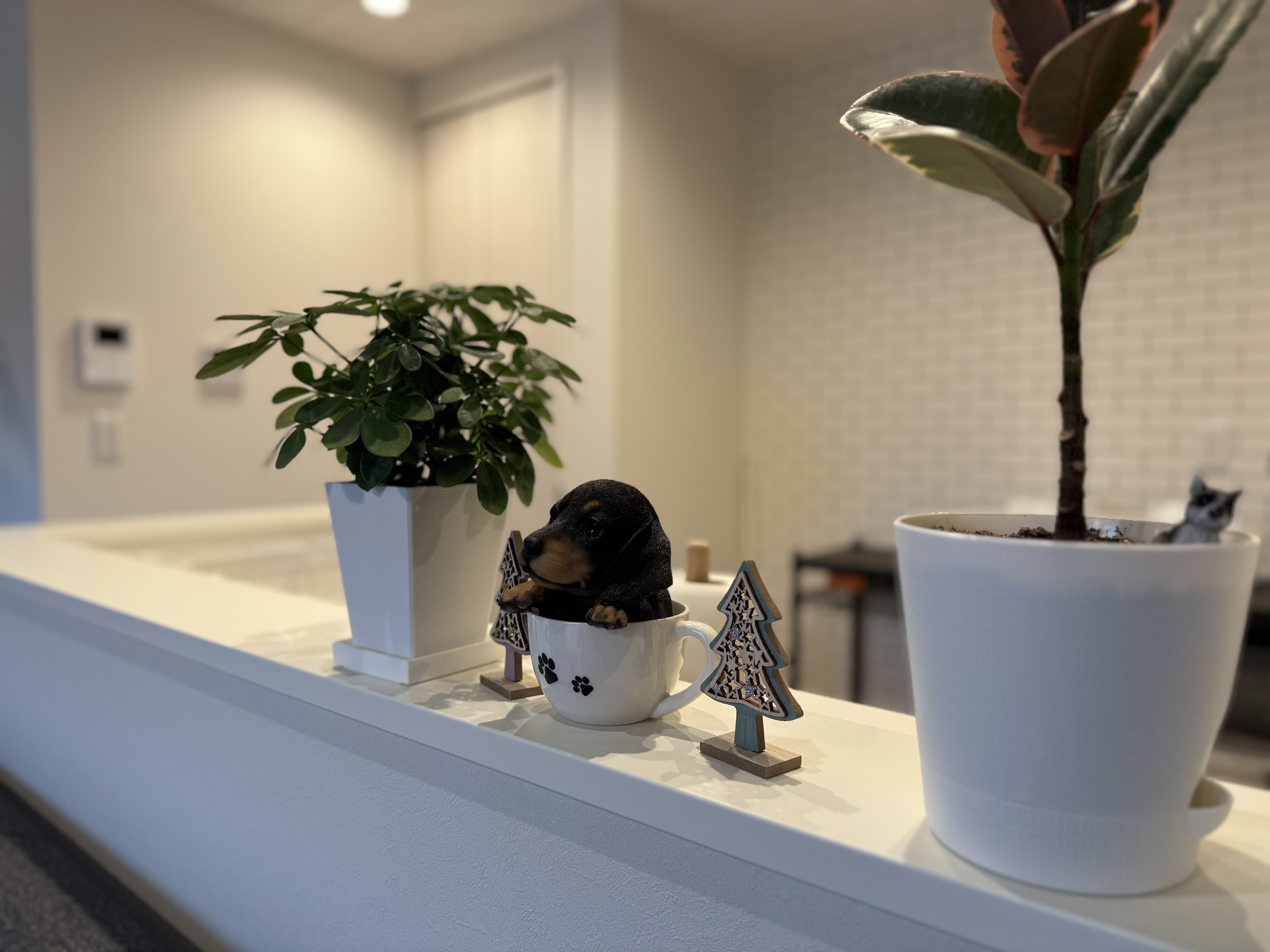 室内インテリア