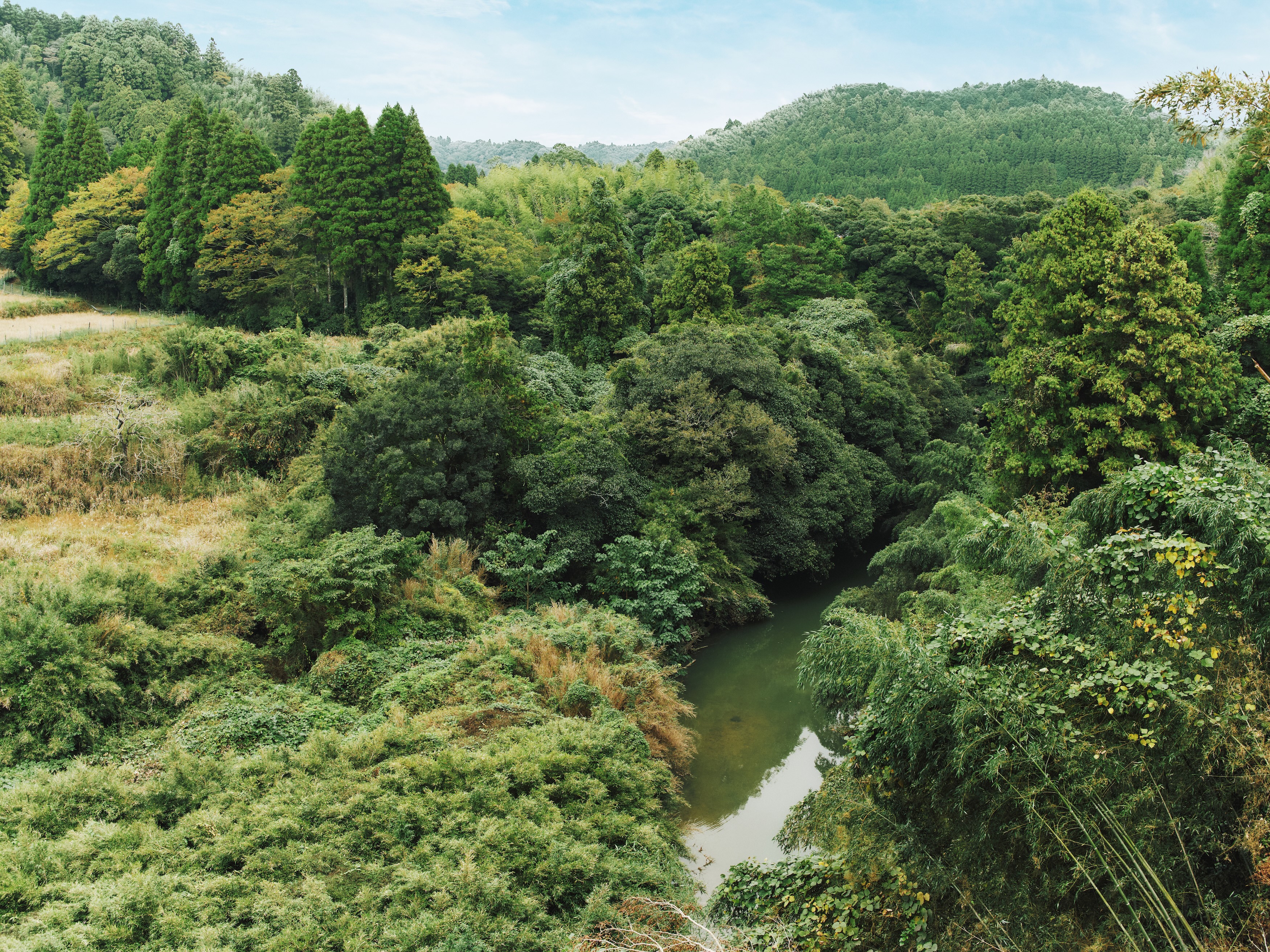 近くを流れる平沢川