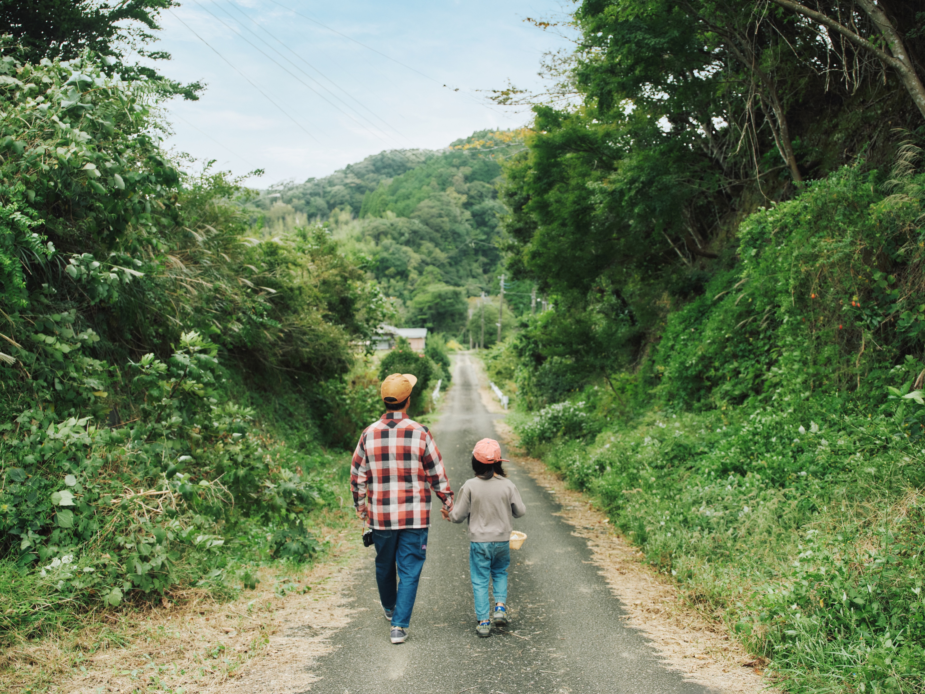 のどかな大自然が広がります