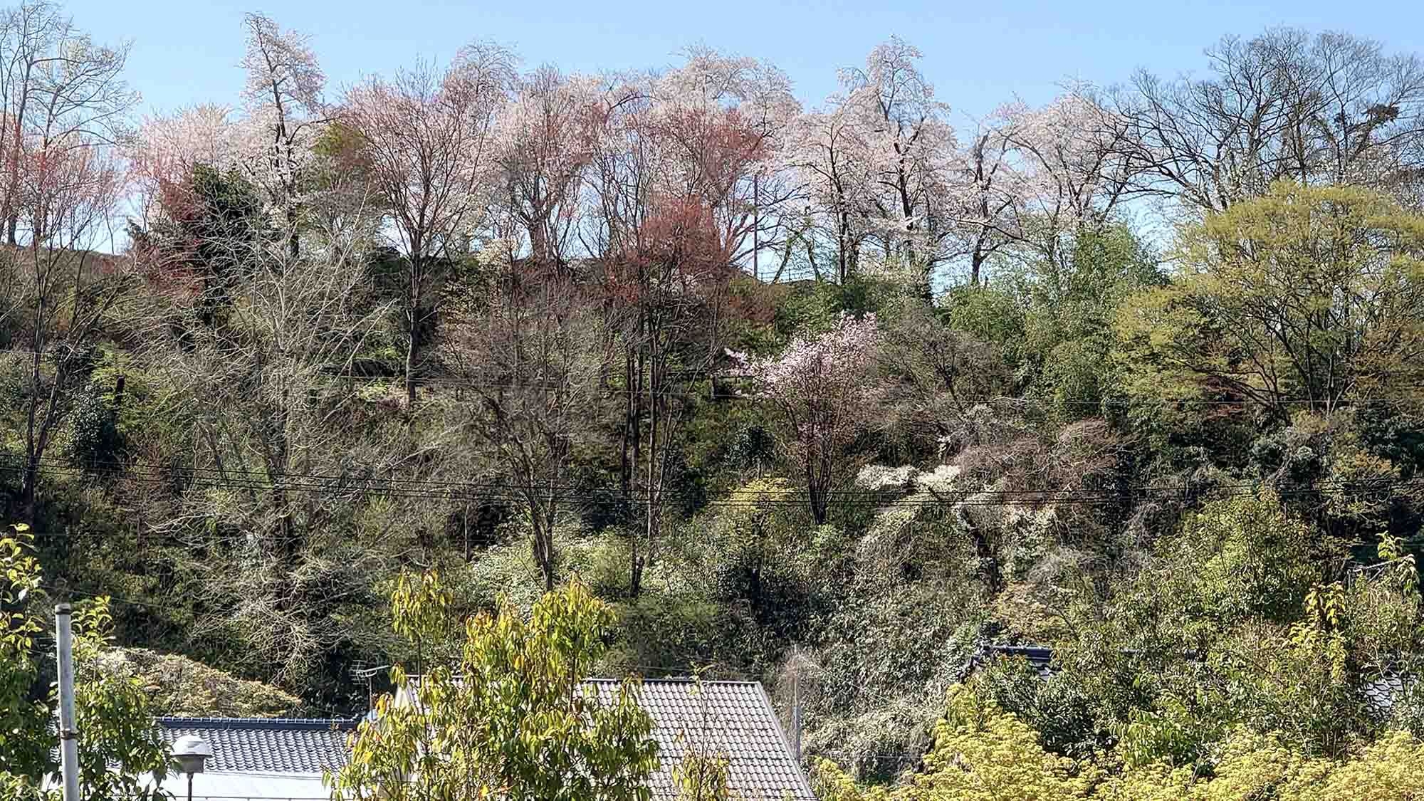 【楽天スーパーSALE】3連泊・素泊◆3連泊以上のご利用でお得に　豊岡で暮らすように過ごす貸別荘滞在