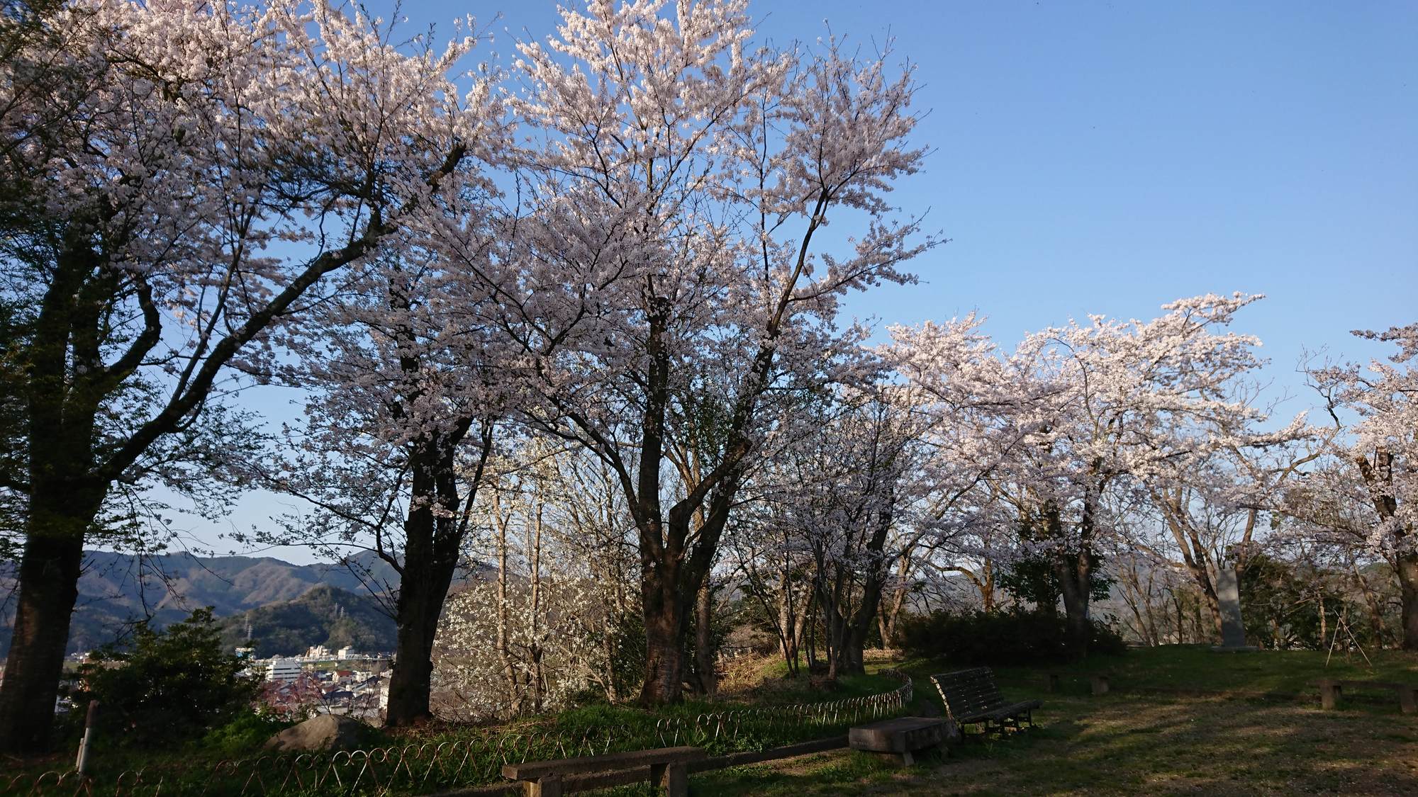 ・【周辺】当施設から神武山公園までは徒歩約5分。桜咲く園内、春風に舞う花びら