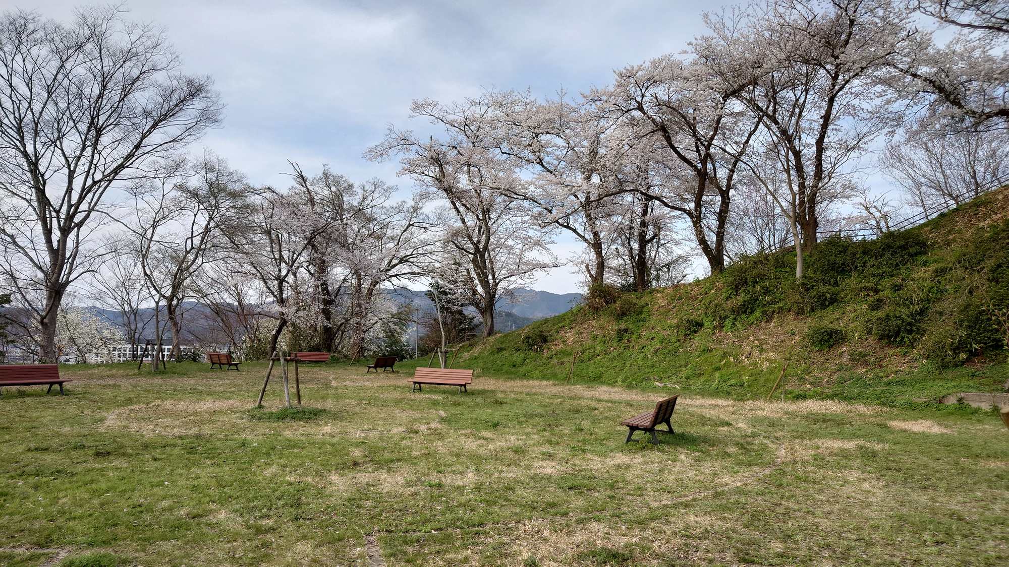 ・【周辺】当施設から神武山公園までは徒歩約5分。ちょっとしたお散歩で桜を見に行きませんか