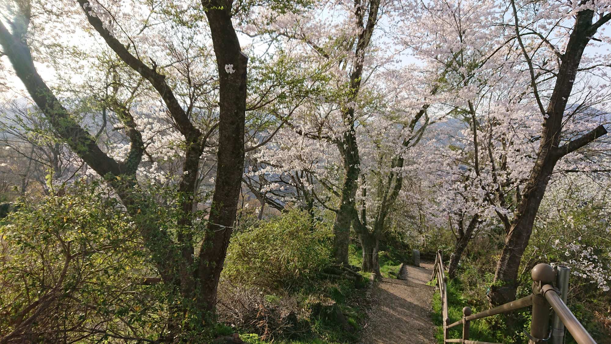 ・【周辺】当施設から神武山公園までは徒歩約5分。気軽な散策に最適です