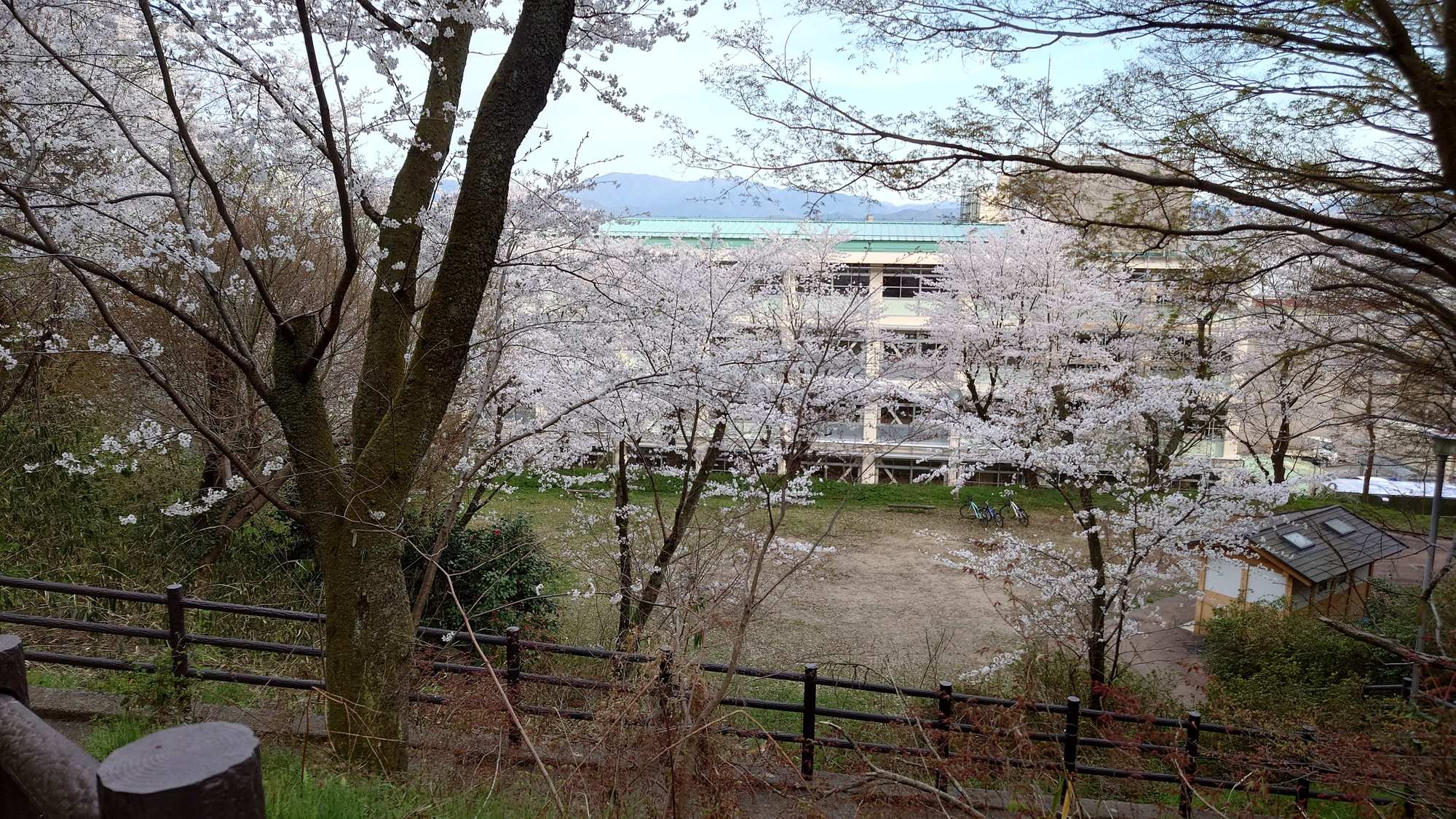 ・【周辺】当施設から神武山公園までは徒歩約5分。心安らぐ桜の景色を楽しめます