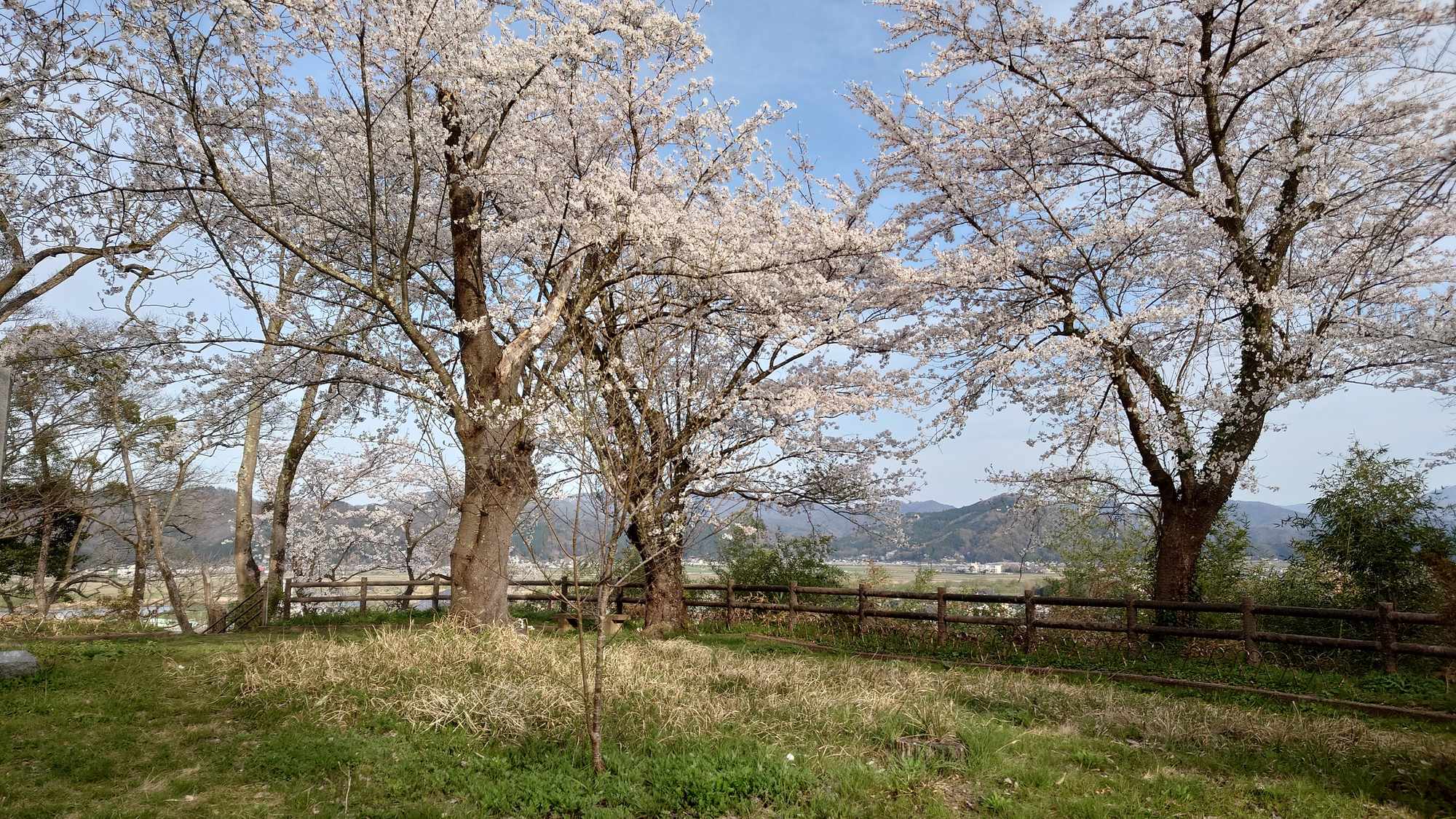 ・【周辺】当施設から神武山公園までは徒歩約5分。心を癒す春の風景をお楽しみいただけます