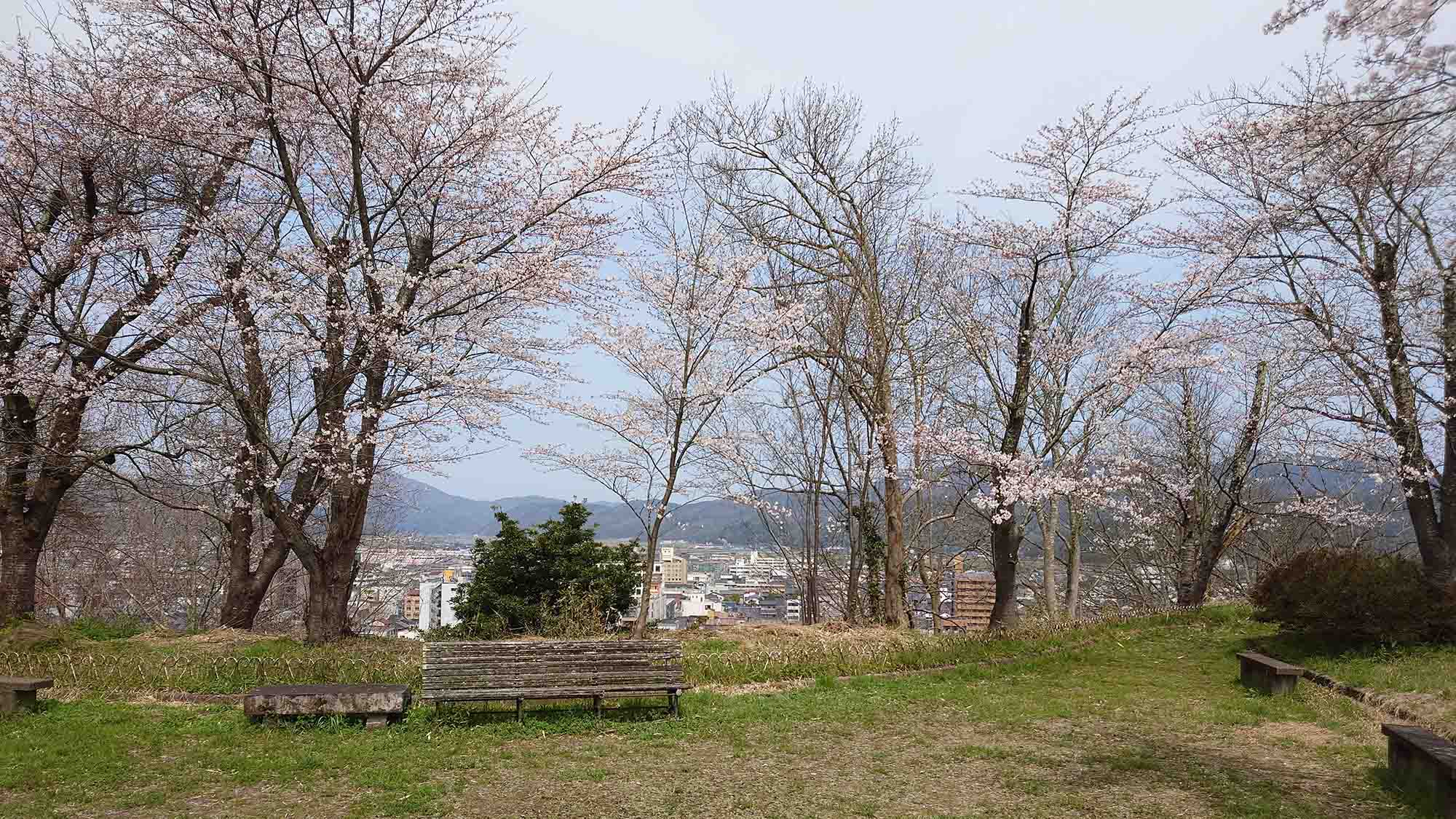 ・【周辺】徒歩約5分の距離にある神武山公園。桜の名所として知られ、お花見の時期は多くの人で賑わいます