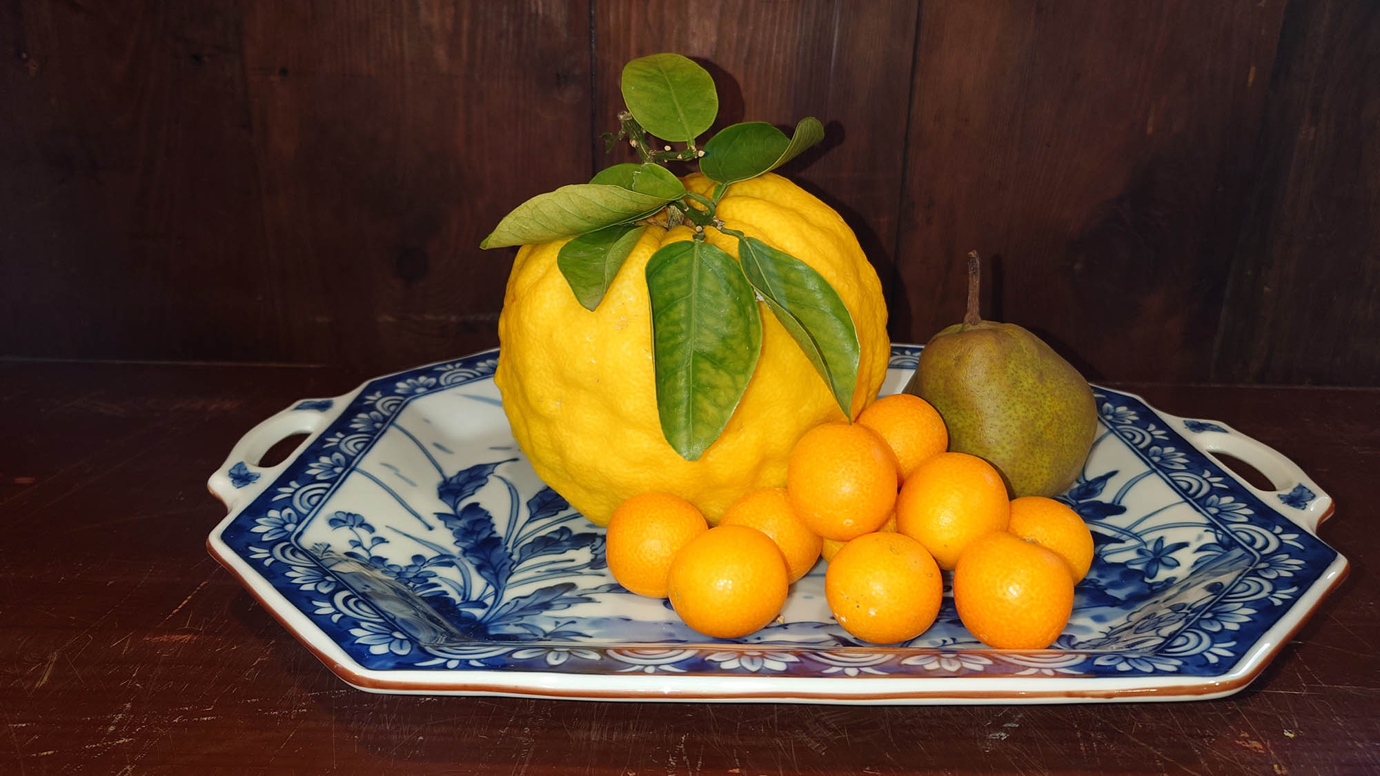 ・【室内】みかんなどの冬のフルーツです。季節によってフルーツも変化します