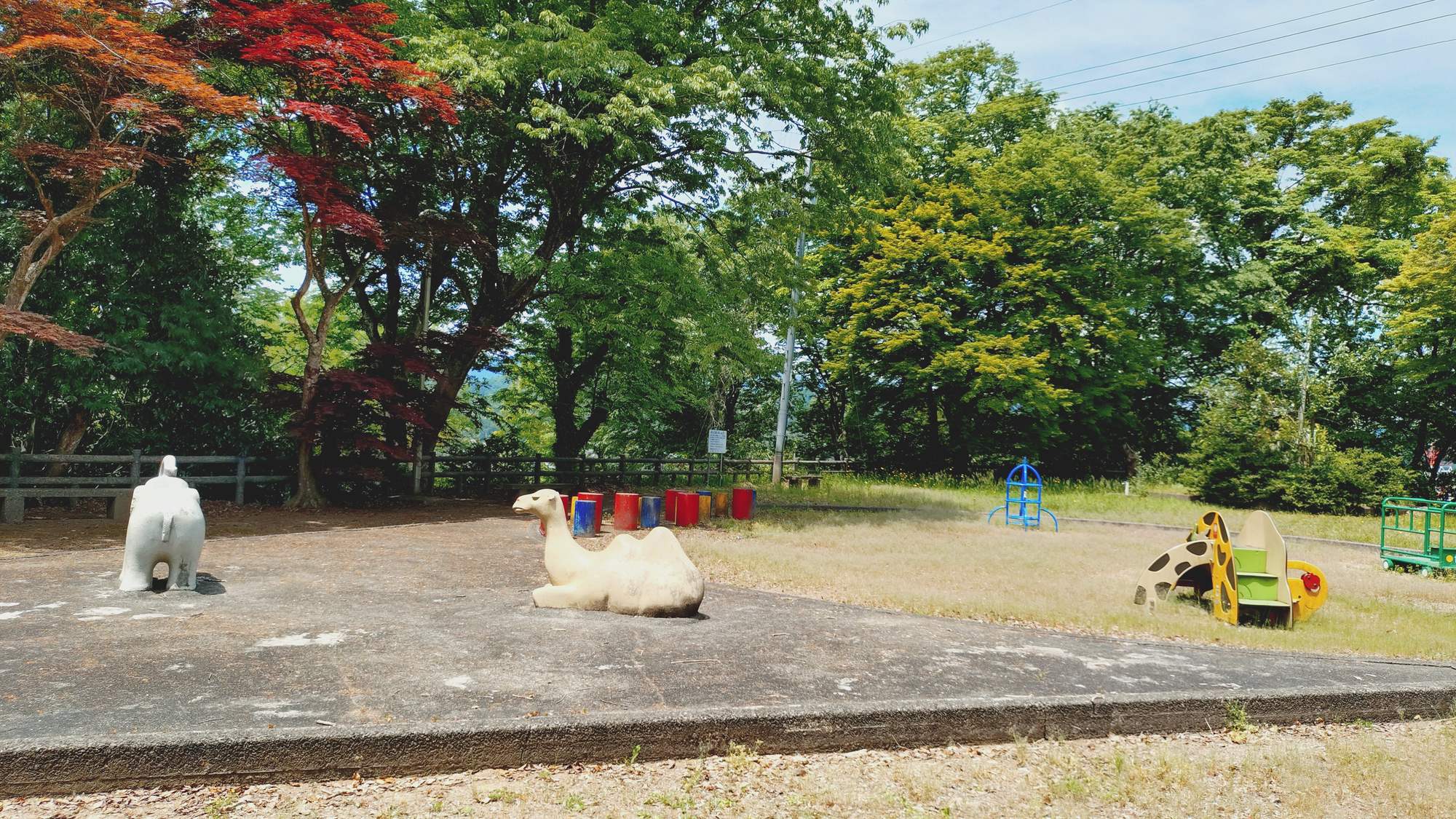 ・【周辺】近隣の新緑です♪自然を感じながらのお散歩にピッタリ