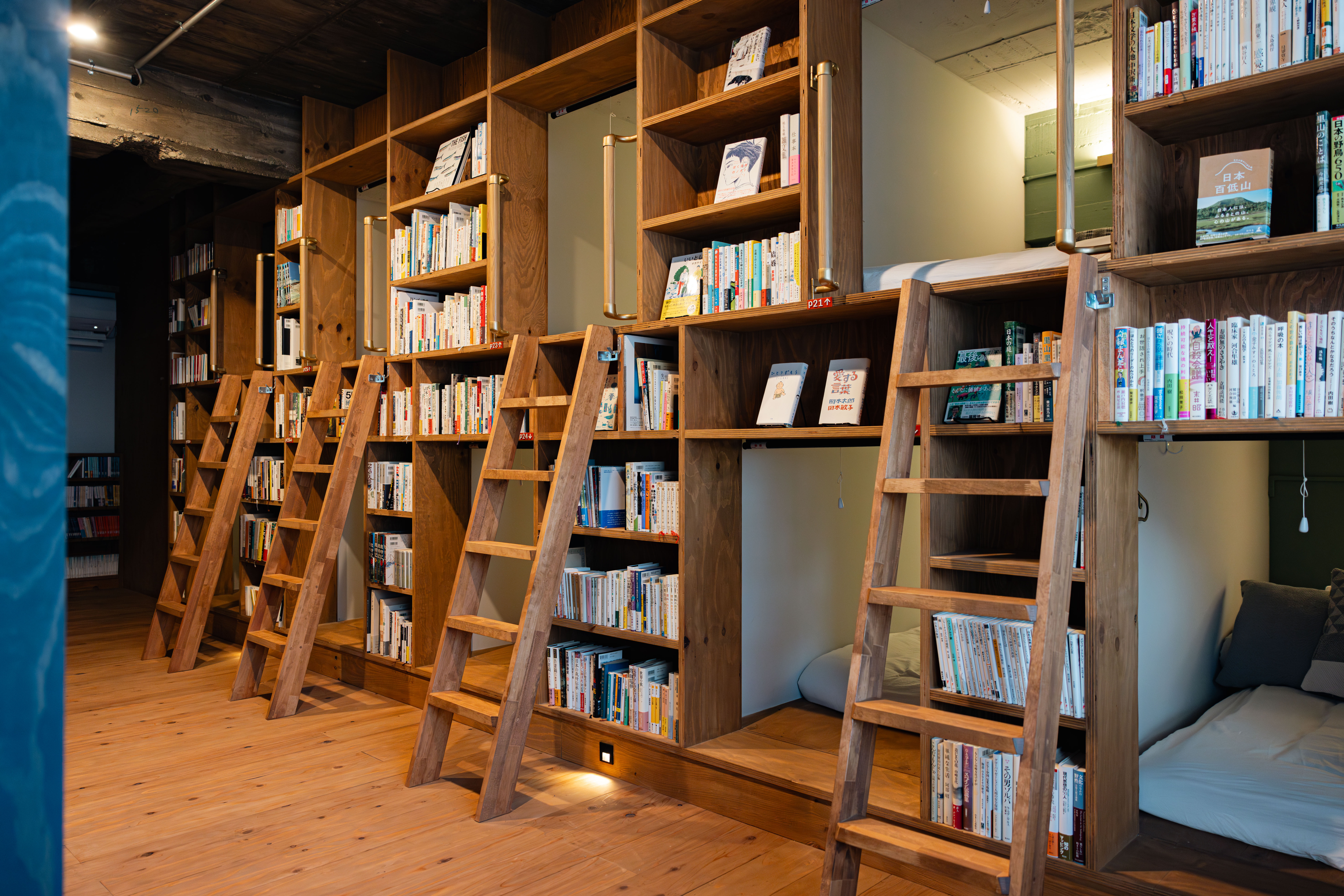 ドミトリー全体