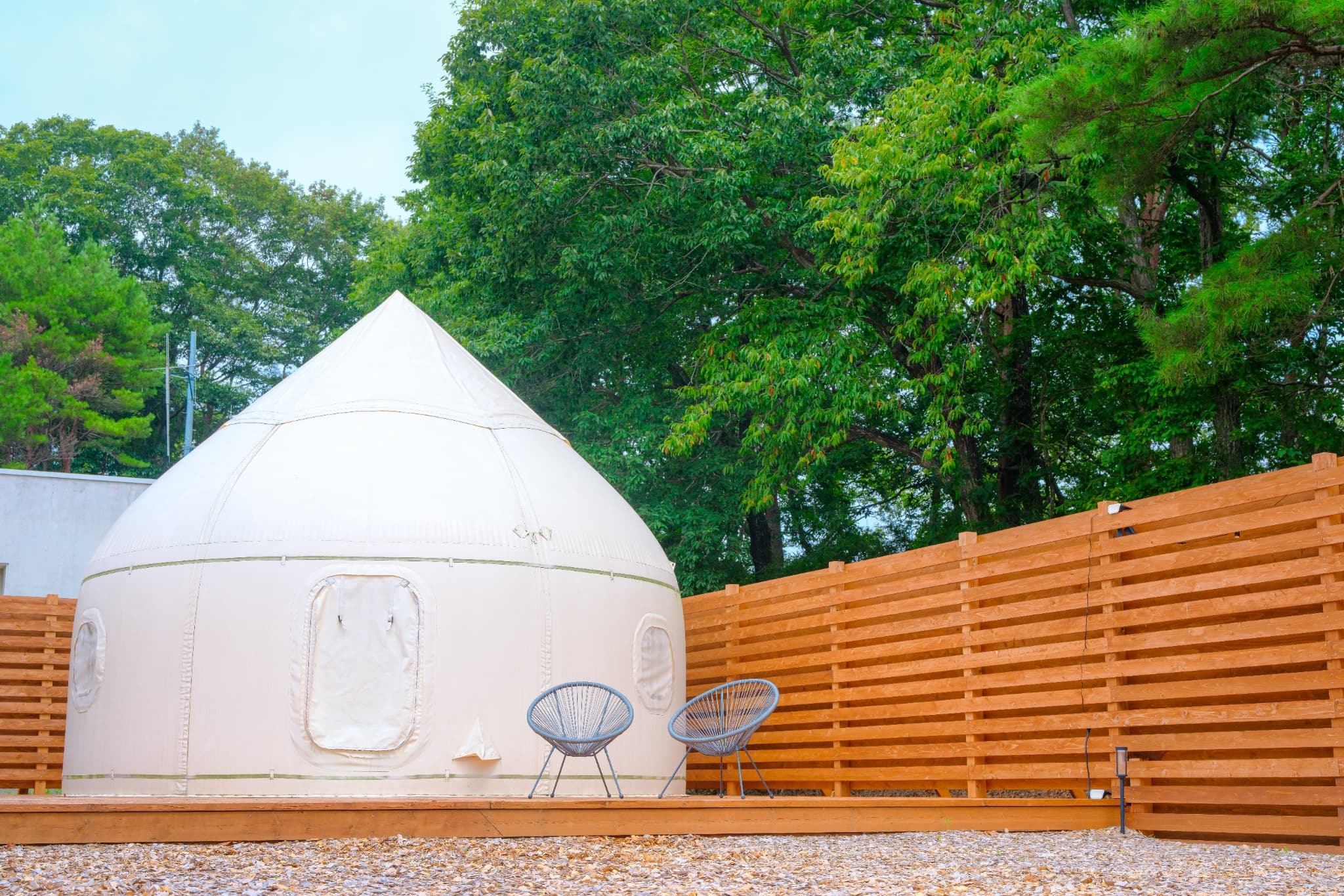 【楽天スーパーSALE】1日1組限定｜素泊まりプラン｜大型犬OKのドックラン