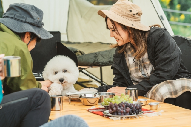 BBQイメージ