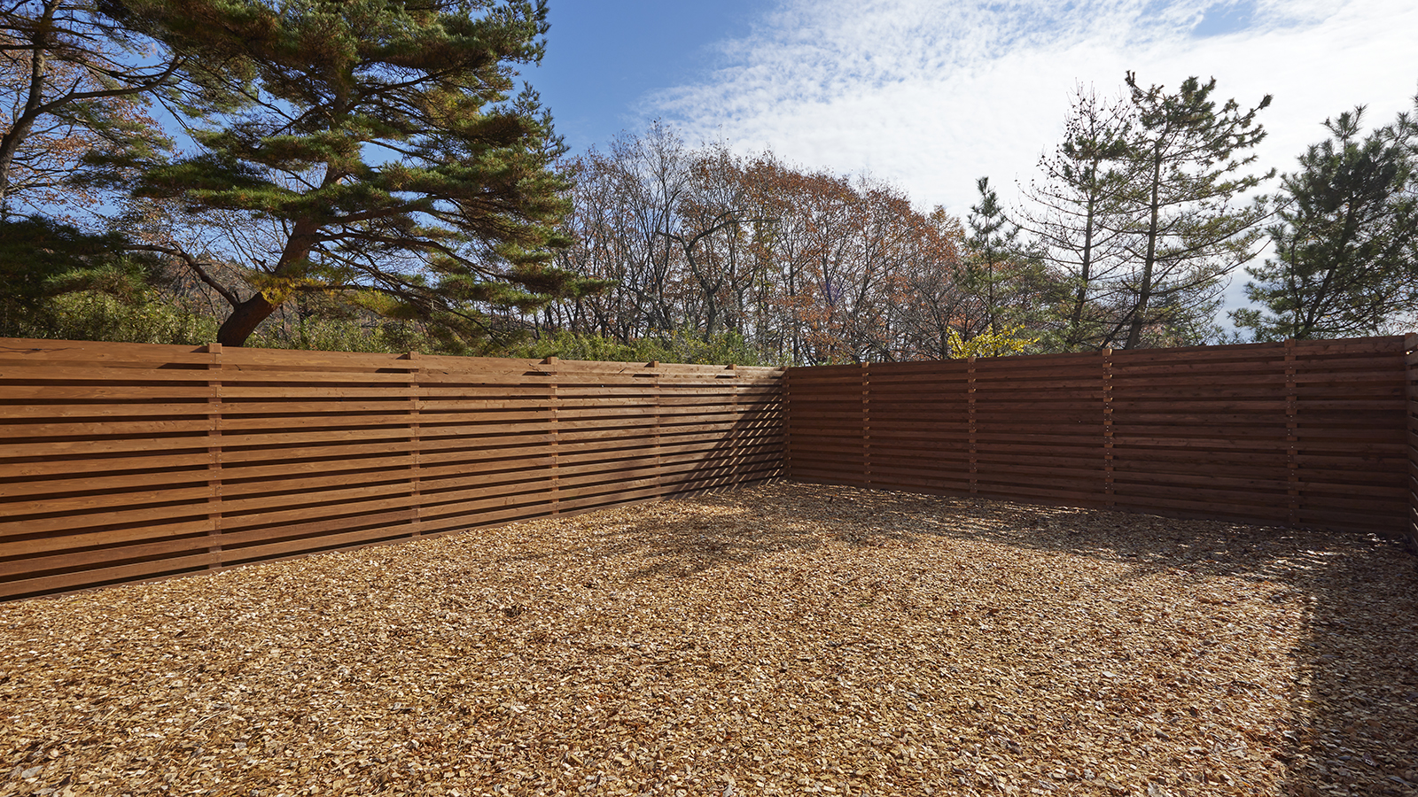 ドッグランスペース