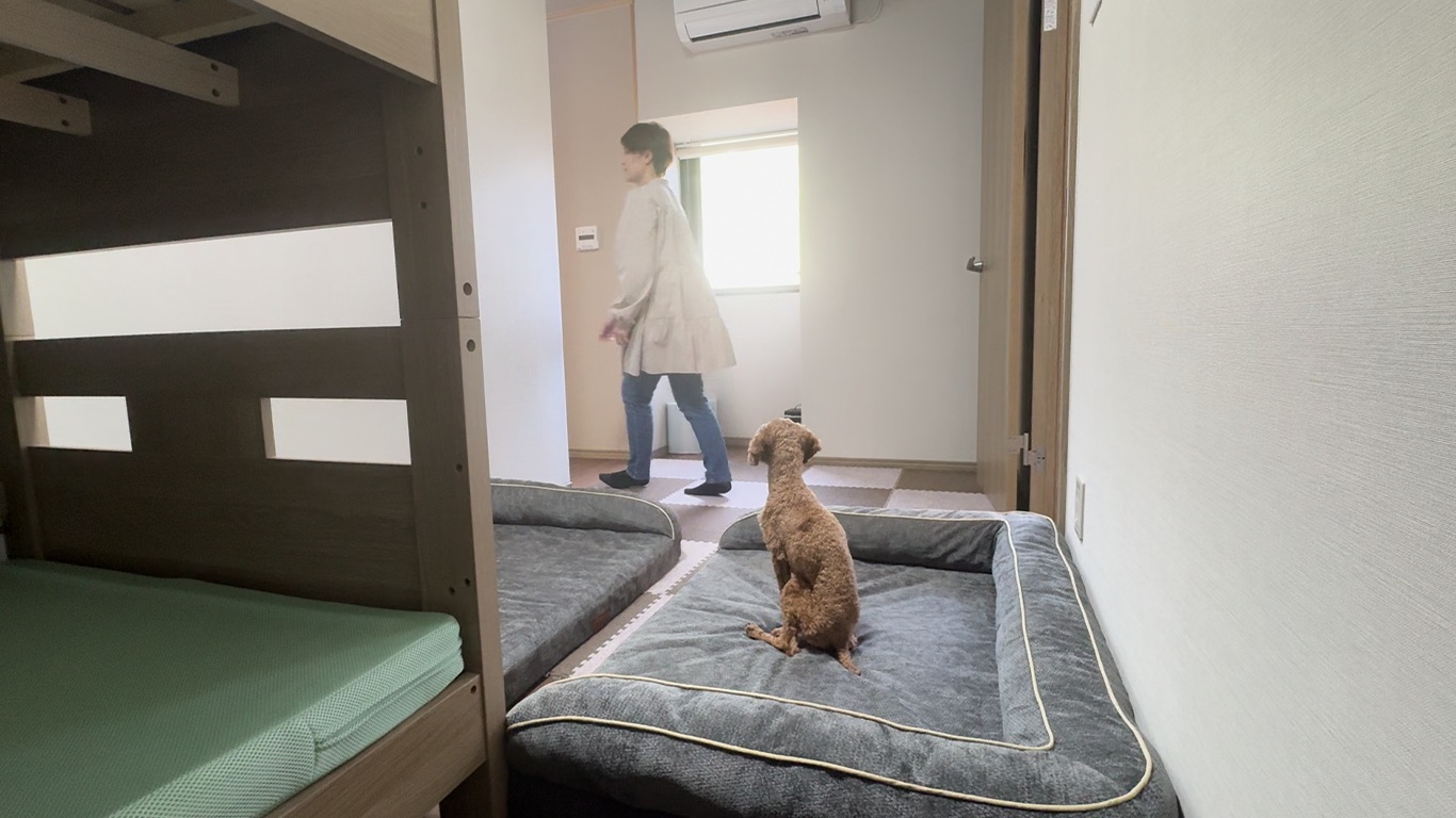 【ひだまり｜別邸きわど庵】愛犬と寄り添いながら過ごせ、家族旅行ではお子様が2段ベッドで快適に。
