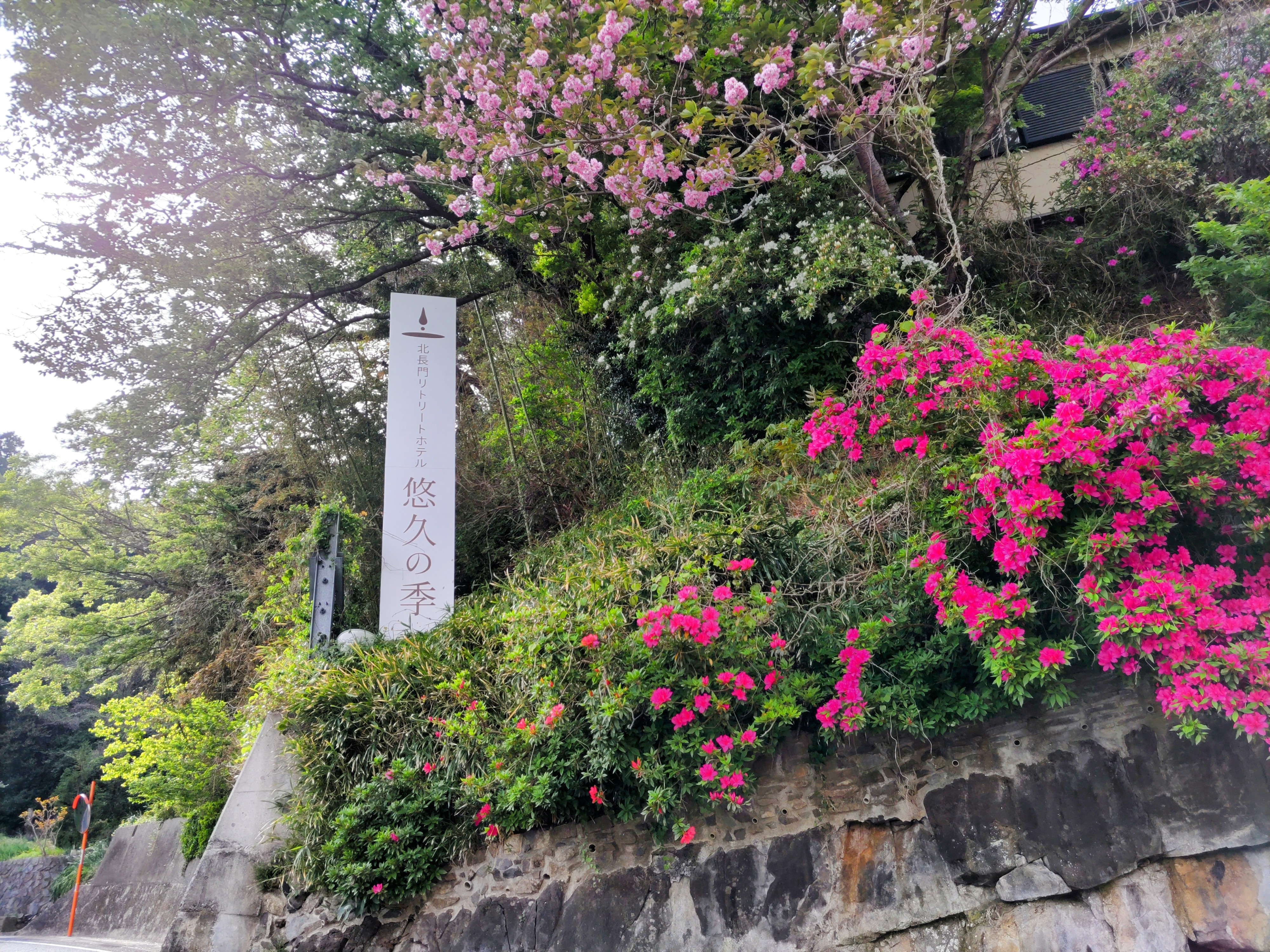 【外観】八重桜とツツジに囲まれた悠久の季の看板サイン