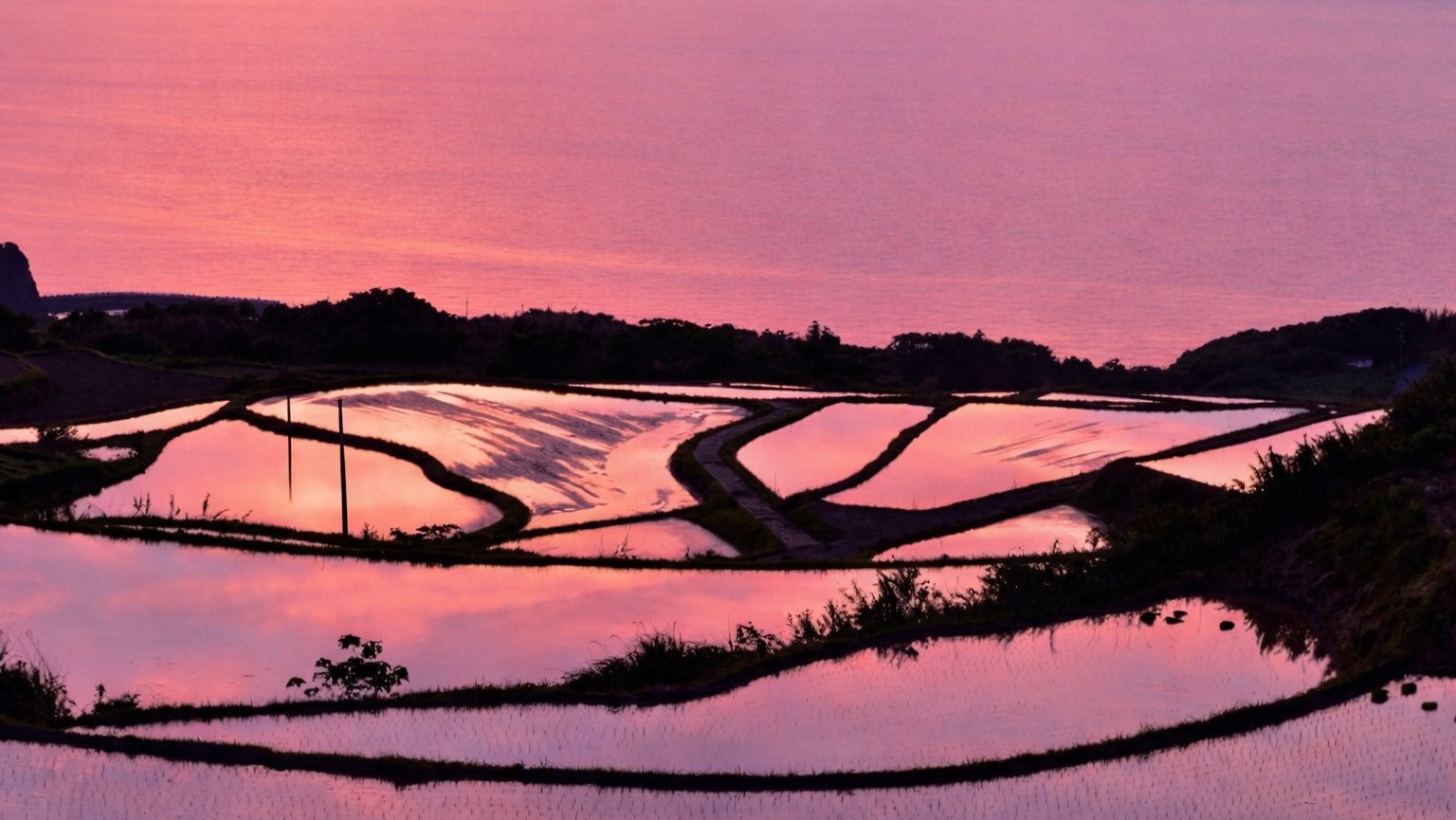 【東後畑棚田の夕焼け】なかでも最も美しいのは、水面鏡が広がる5～6月の夕暮れ時。