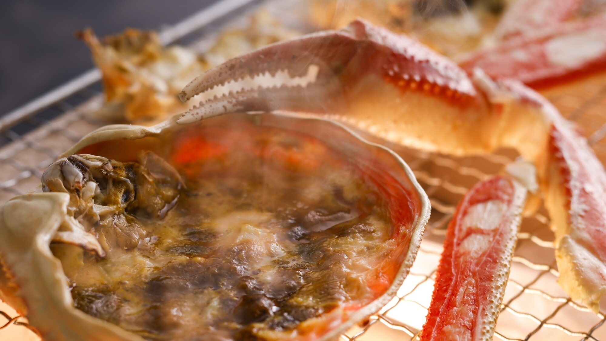 【冬】特大5Lカニ2杯！贅沢ボリューム！冬の味覚を堪能する欲張りカニフルコース