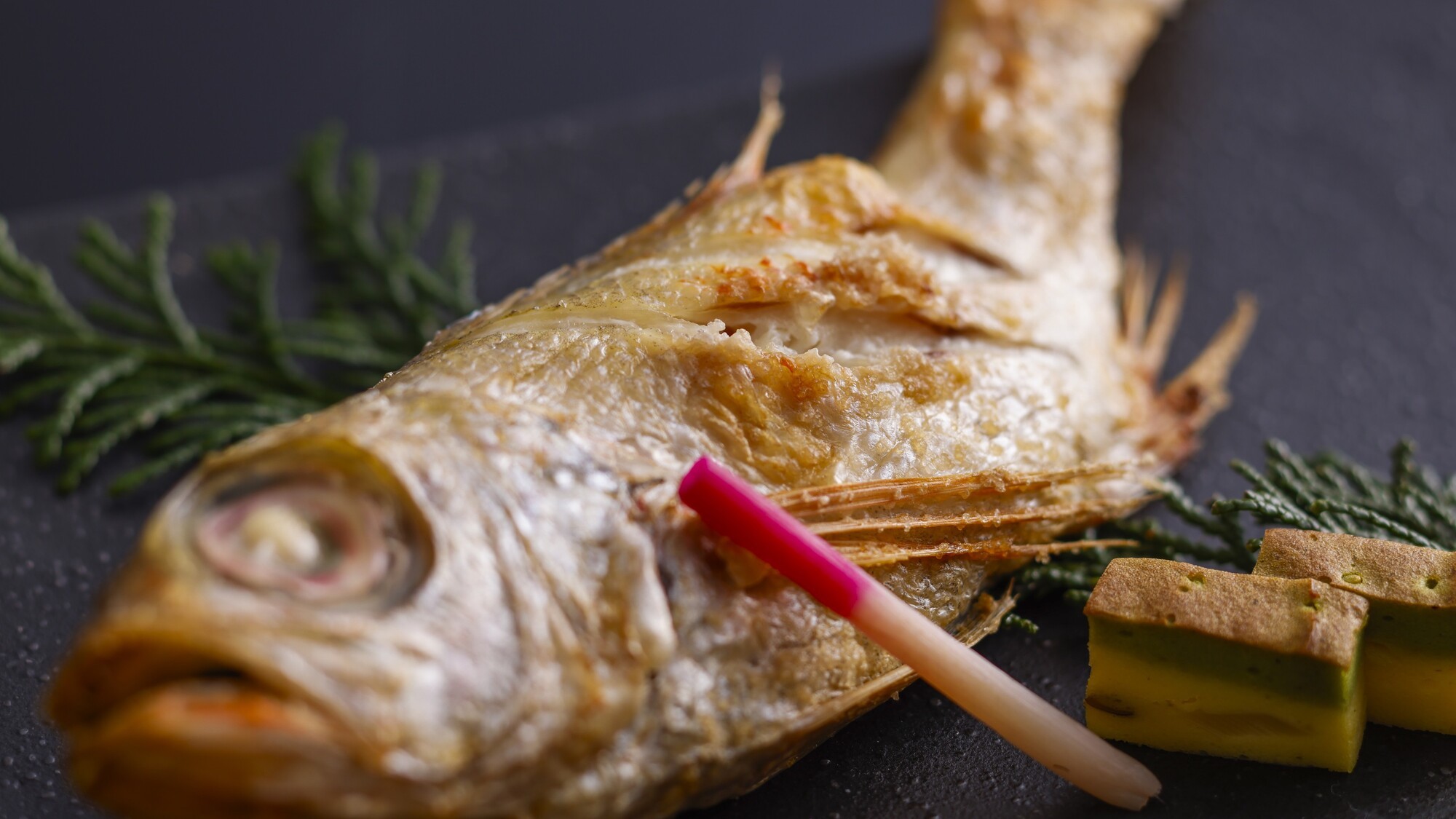 脂ののったのどぐろを香ばしく塩焼きで堪能／例