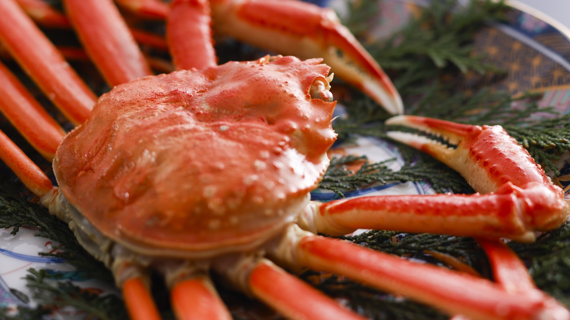 絶妙な茹で加減で甘みたっぷりのボイルガニ／例