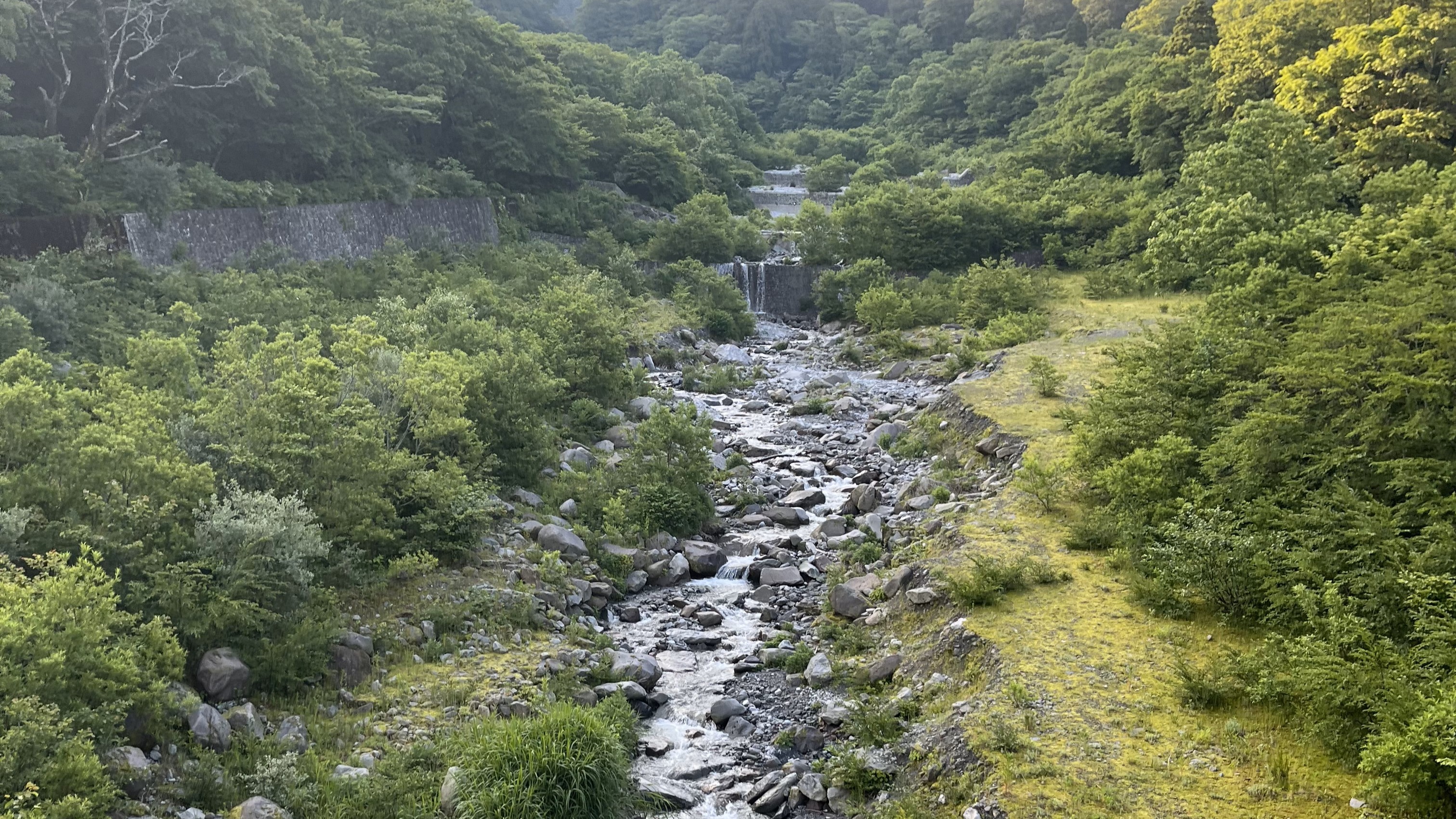大山夏山登山道