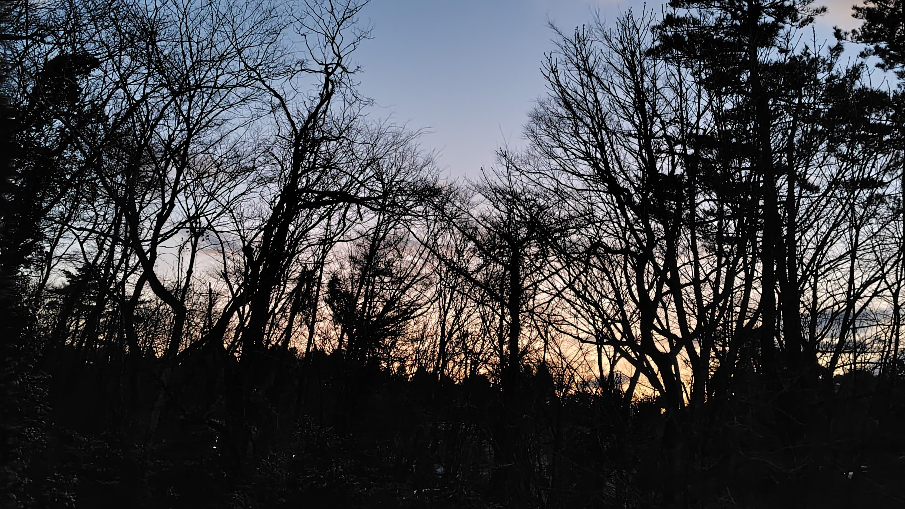 ペンション敷地内（日没）