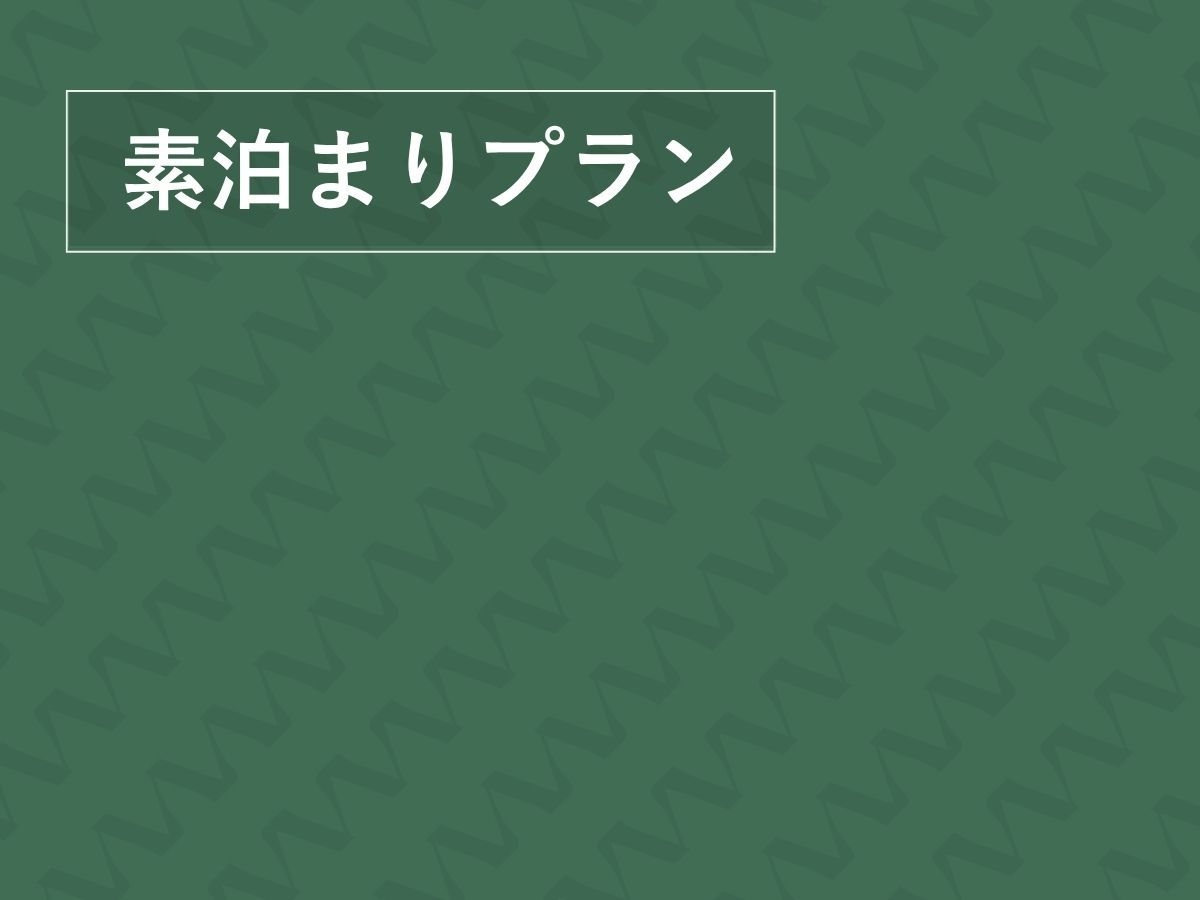 〓素泊まりプラン〓ルームチャージのみのプランになります