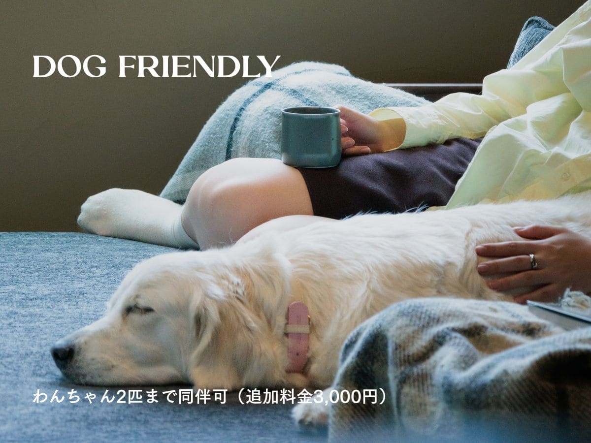 ROADIEワンちゃん2