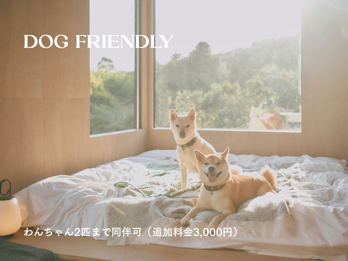 MIGRA わんちゃん1