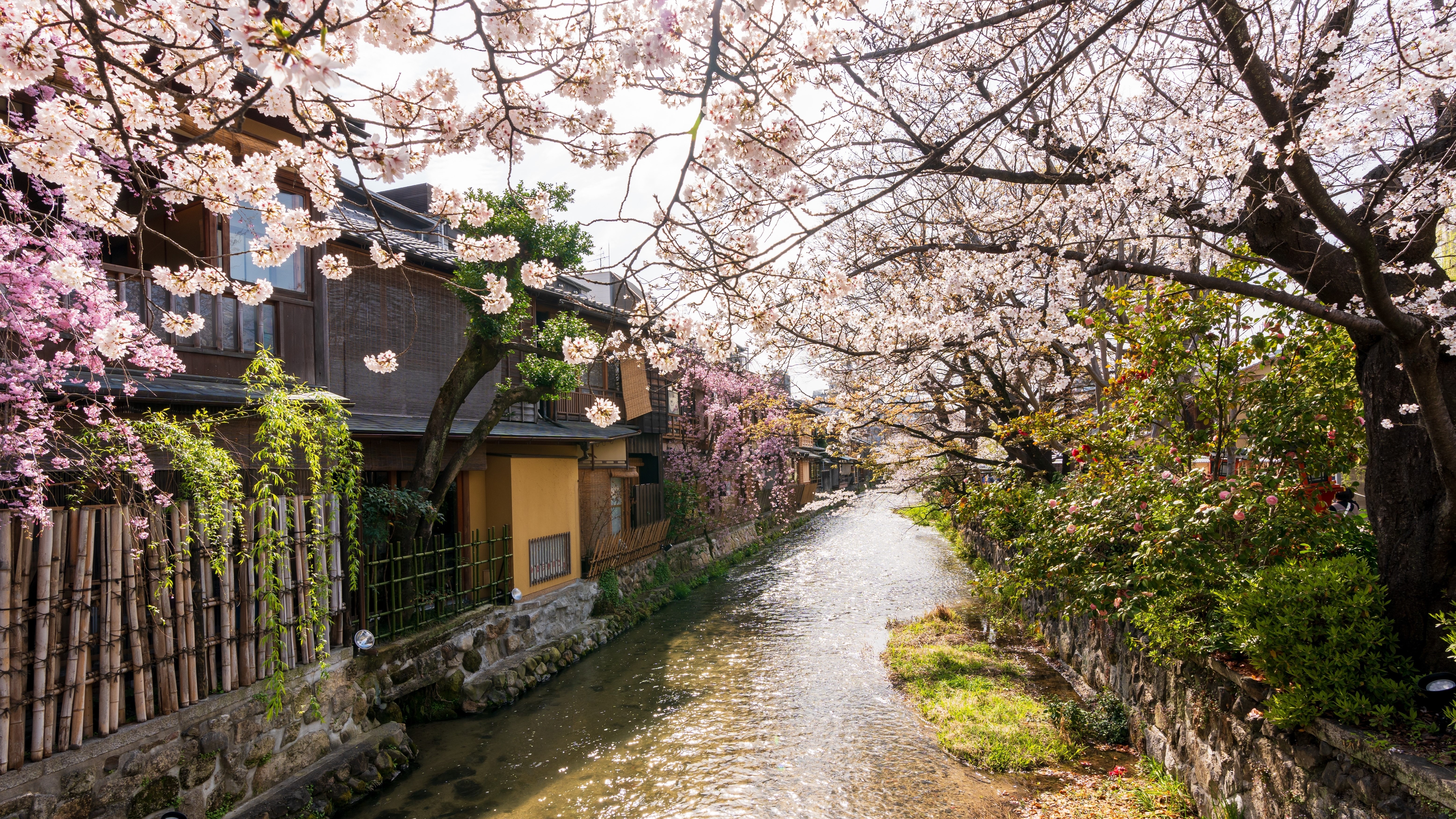 周辺の雰囲気　観光スポット