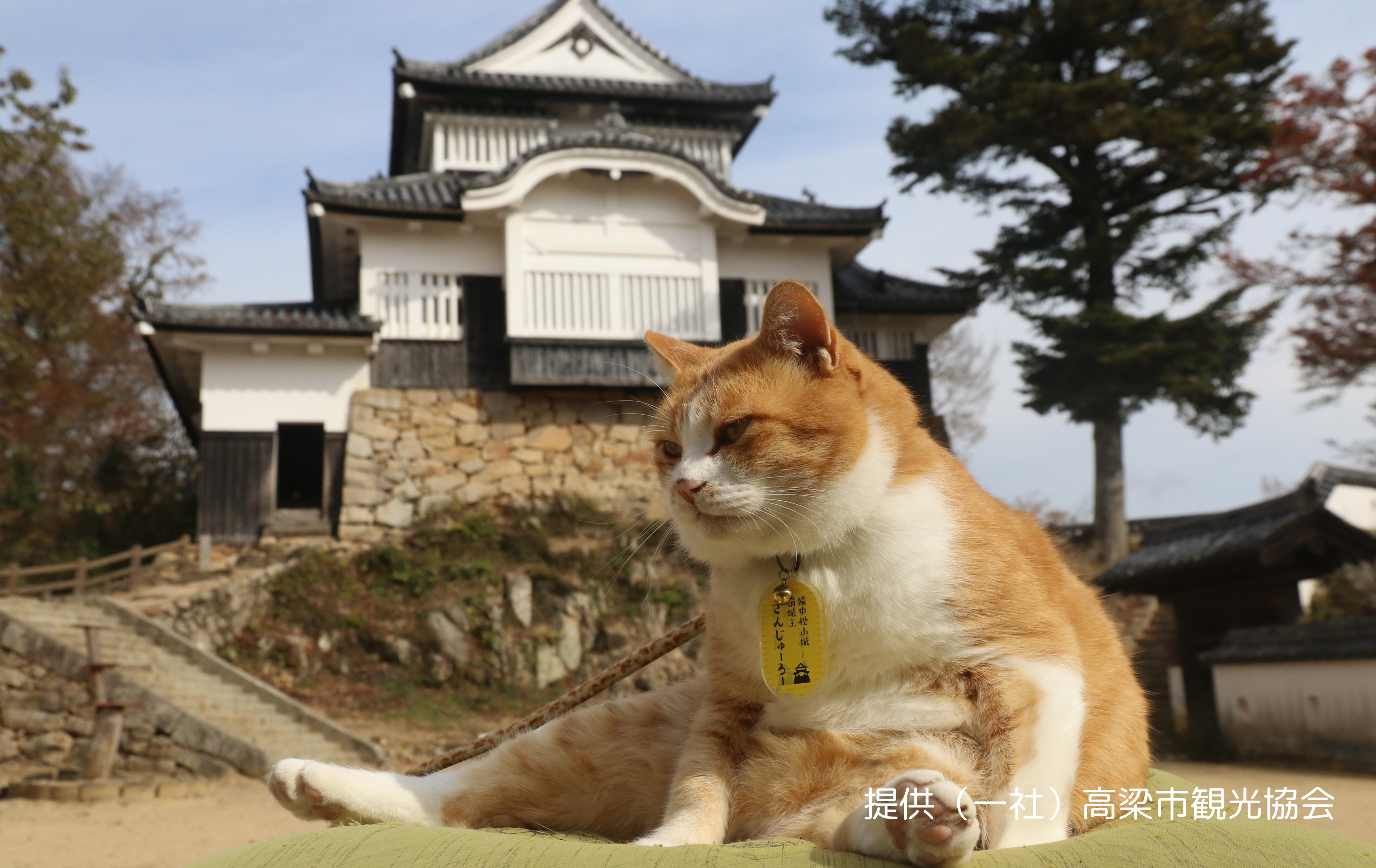 備中松山城