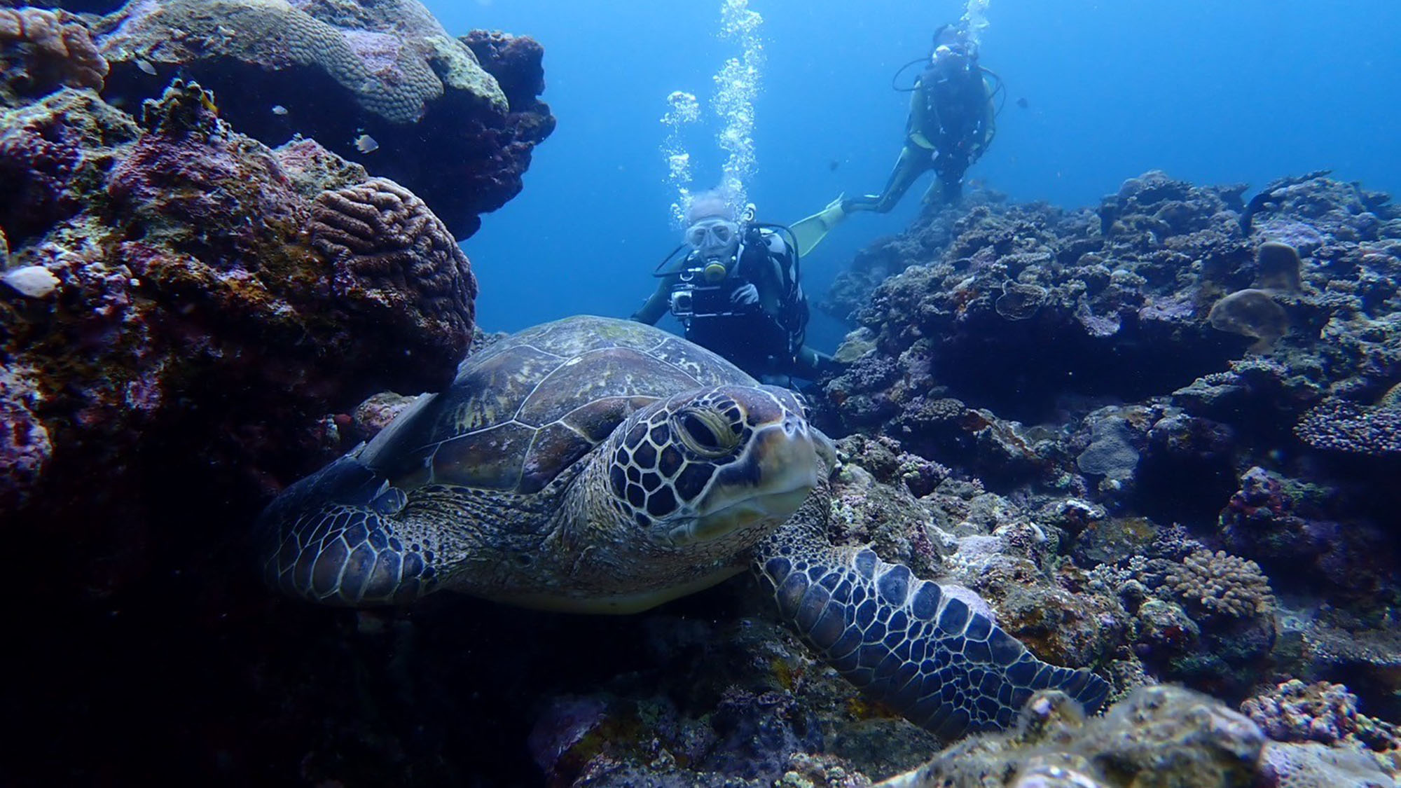 【ダイビングイメージ】 