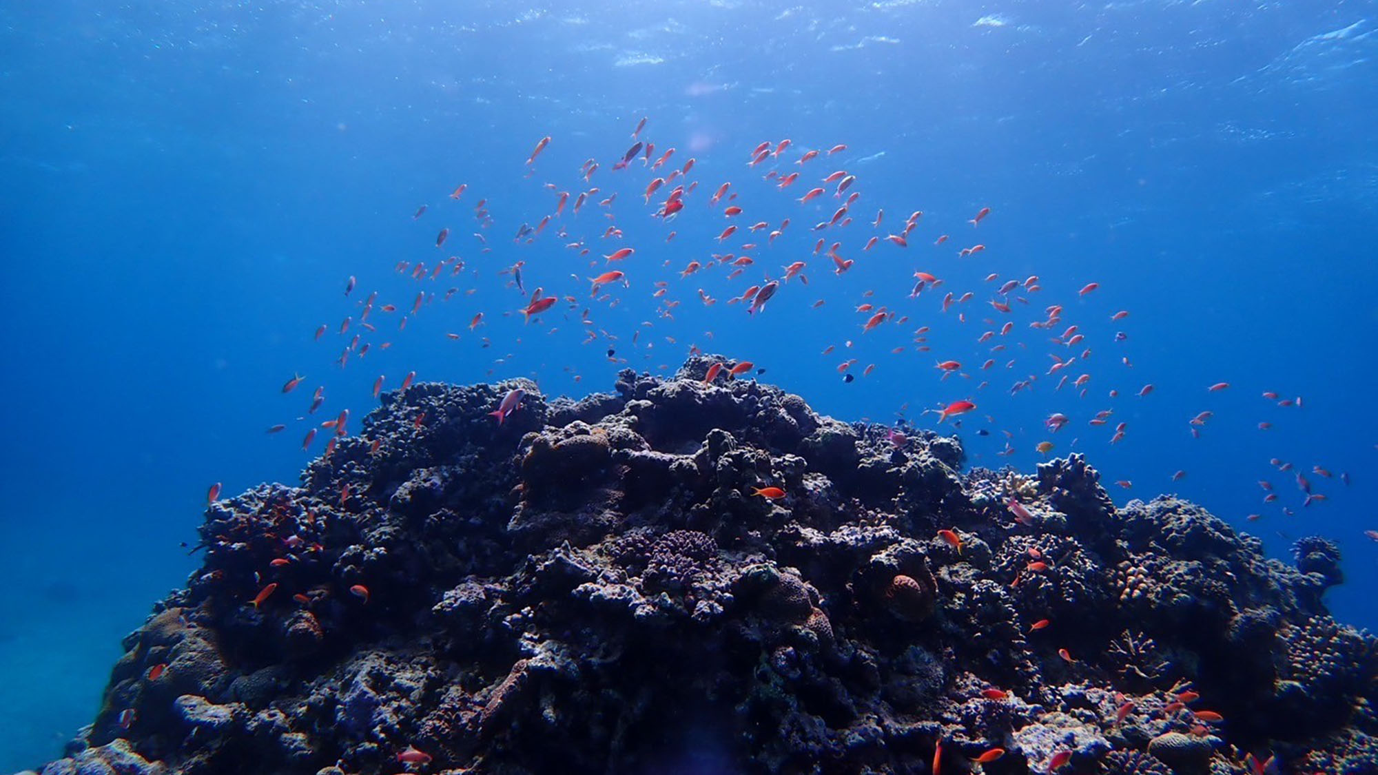 【川平(カビラ)湾】 