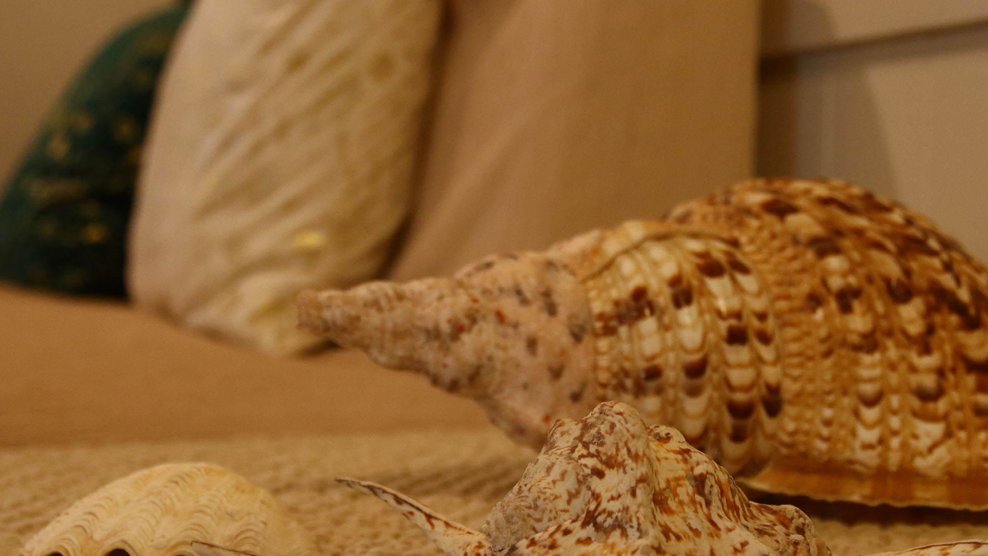 【イメージ】  館内