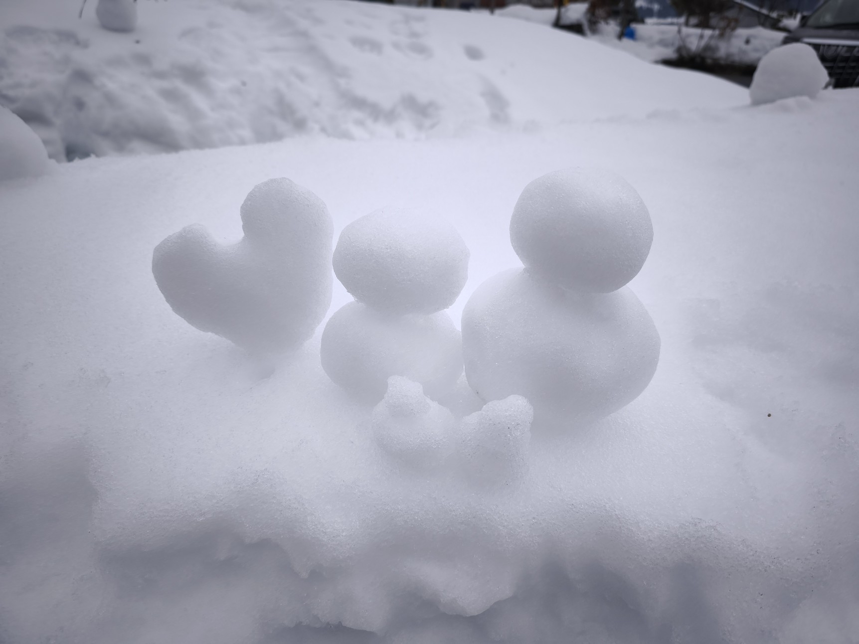 「佐渡島の金山」世界遺産登録１周年記念 【白銀世界】★舞子スキー場そば★一棟貸切★素泊★ペットOK