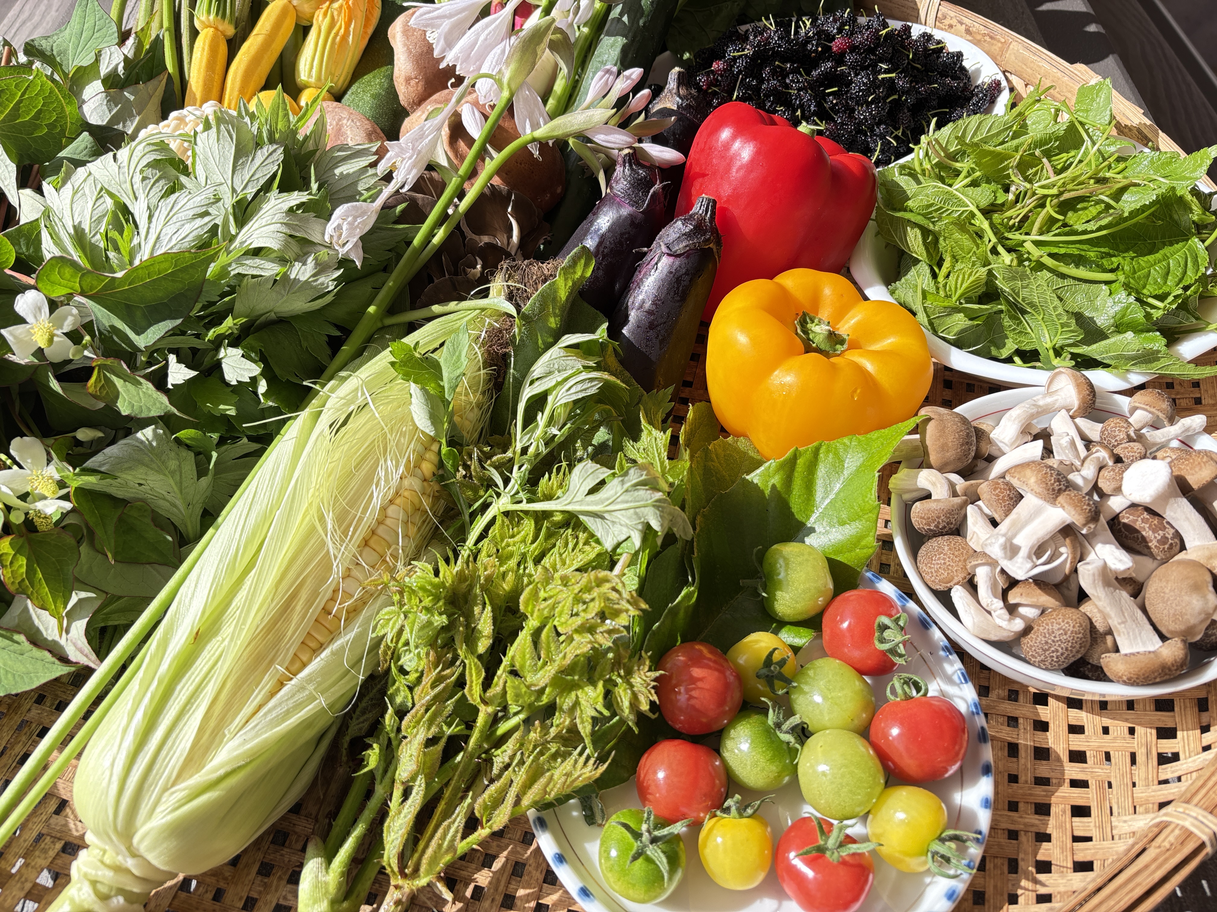 季節野菜を道の駅で購入してBBQ（コンロレンタル有料）も楽しみ！