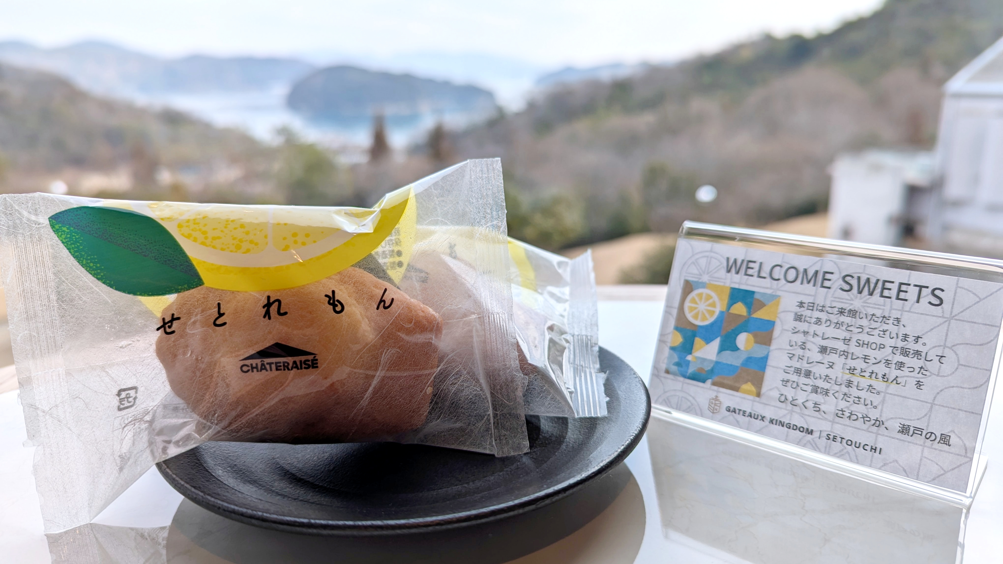 旅の疲れをウェルカムスイーツで癒して。瀬戸内れもんを使ったマドレーヌ【せとれもん】