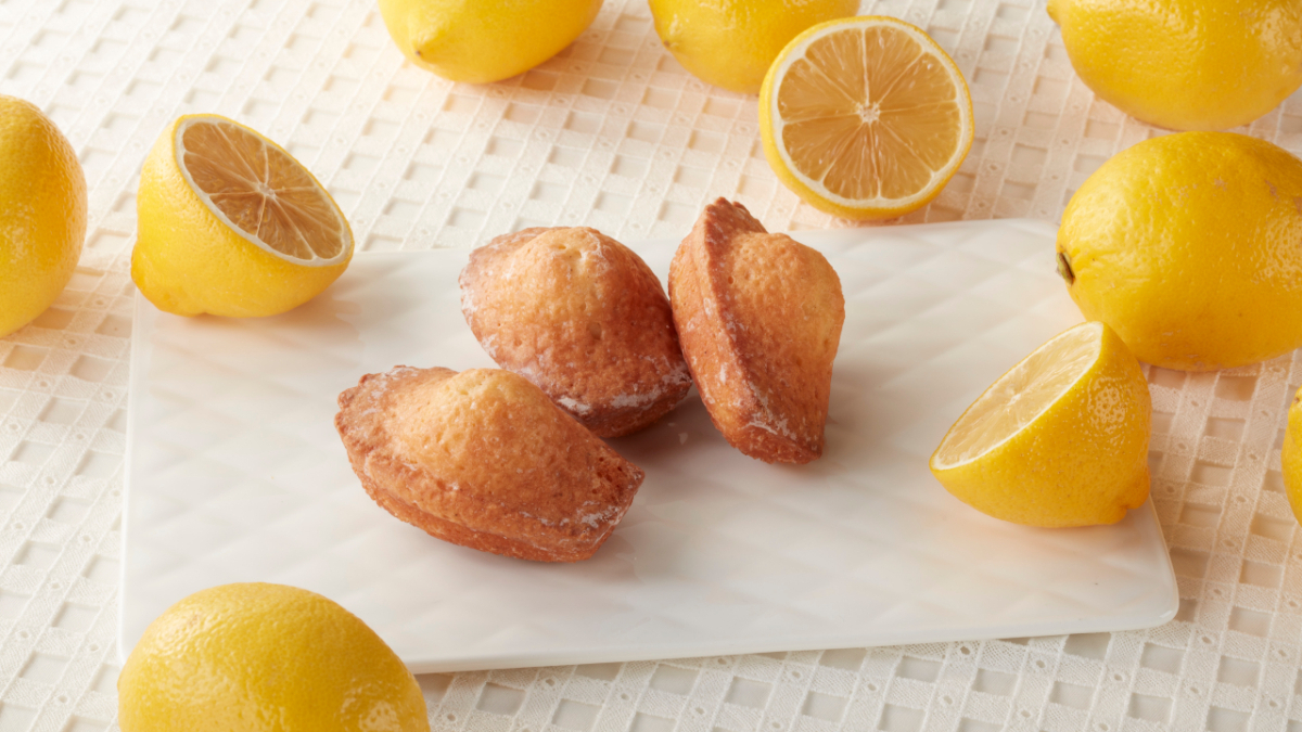 瀬戸内レモンのマドレーヌ【せとれもん】