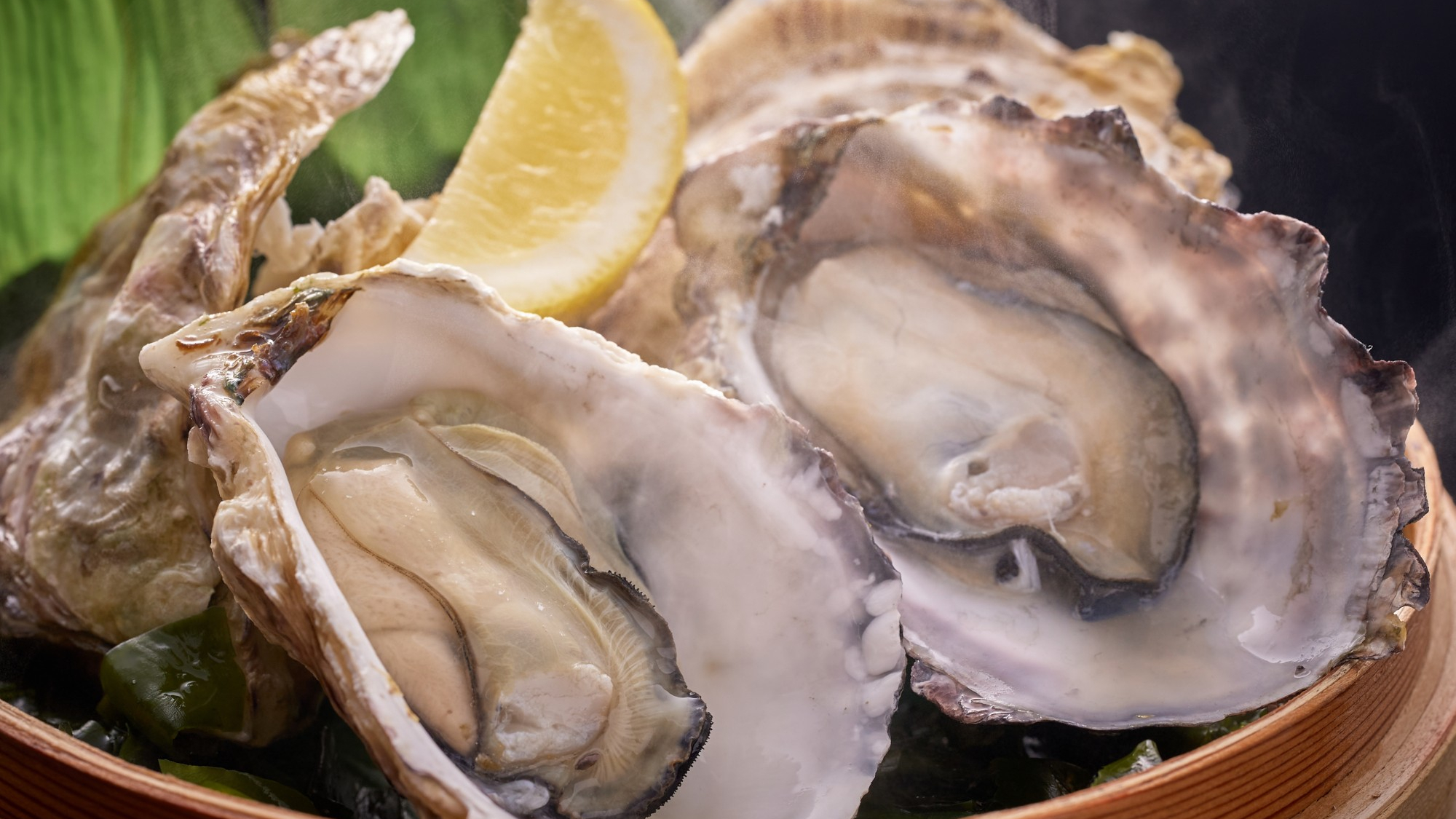 料理素材（牡蠣）