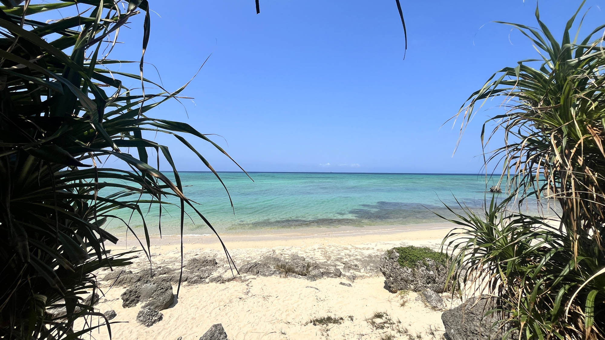 【周辺】すぐ近くの秘密基地のようなビーチ